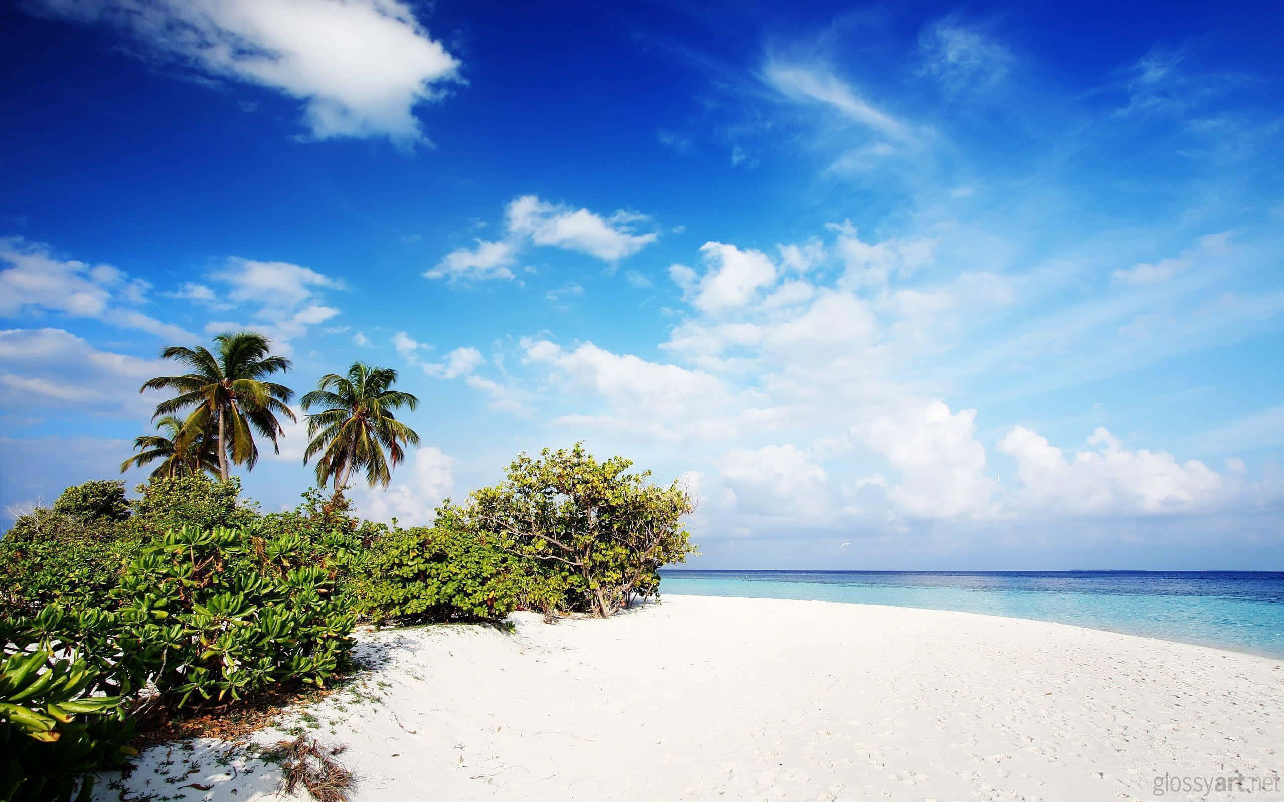 Beach Desktop 桌布 壁紙 — 純淨的白色沙灘在點綴著蓬鬆白雲的鮮豔藍天下輕輕彎曲，四周環繞著茂密的綠色棕櫚樹和灌木。