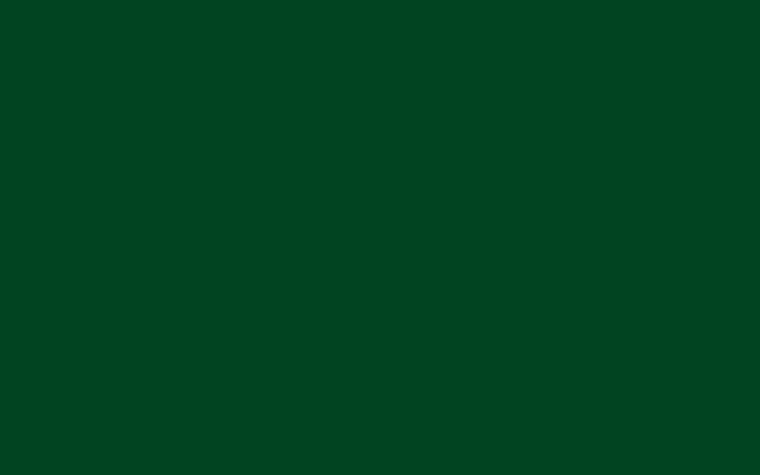 Plain Dark Green 桌布 壁紙 — 純深森林綠色背景，無可見物體或細節。