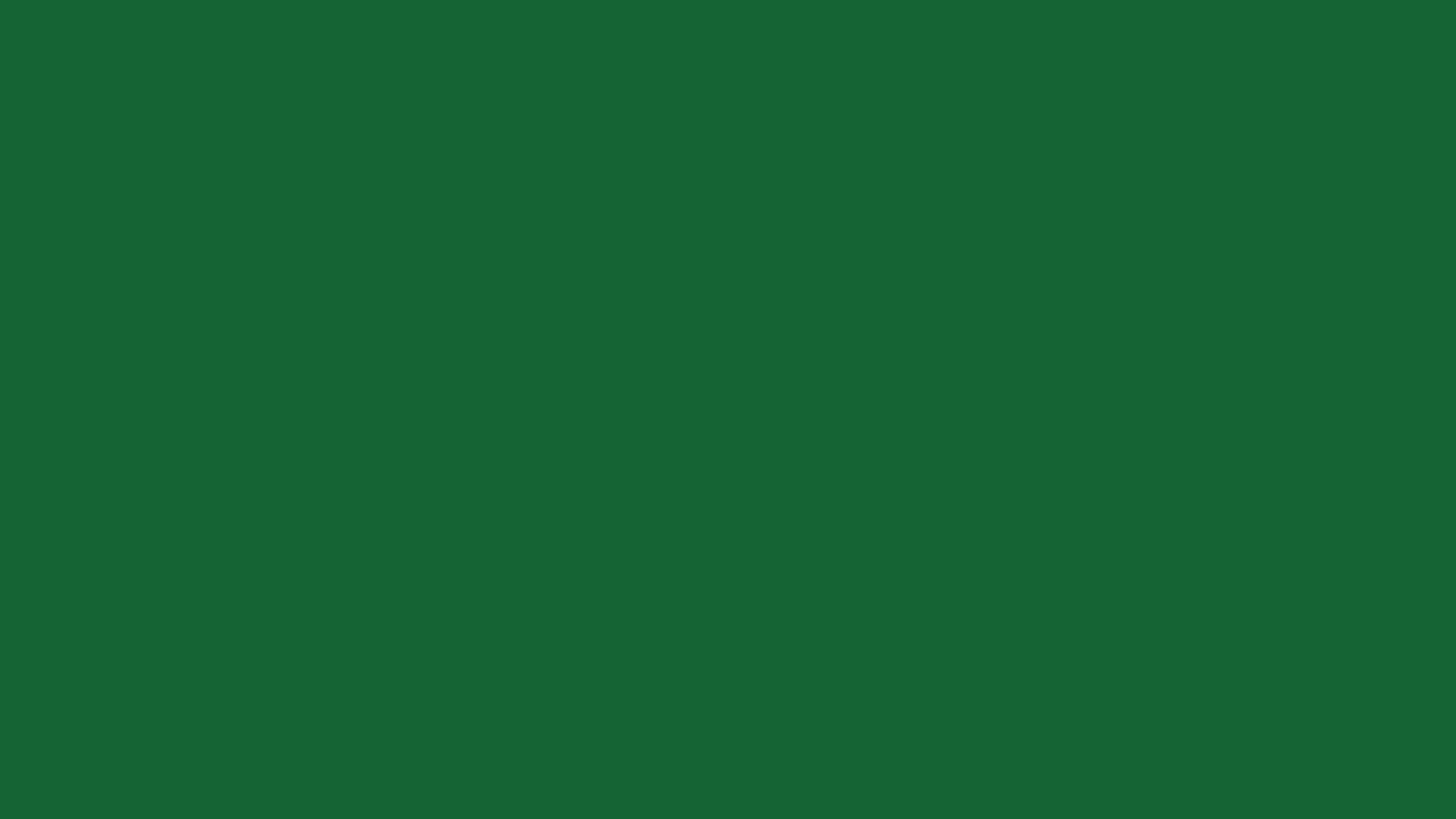 Green Solid Color 桌布 壁紙 — 純深綠色背景，沒有可見的物體或圖案。