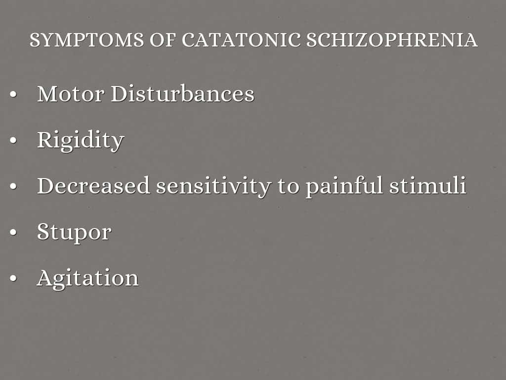 catatonic 桌布 壁紙 — 純灰色背景上顯示白色文字，列出緊張型精神分裂症的症狀，包括運動障礙、僵硬和木僵。