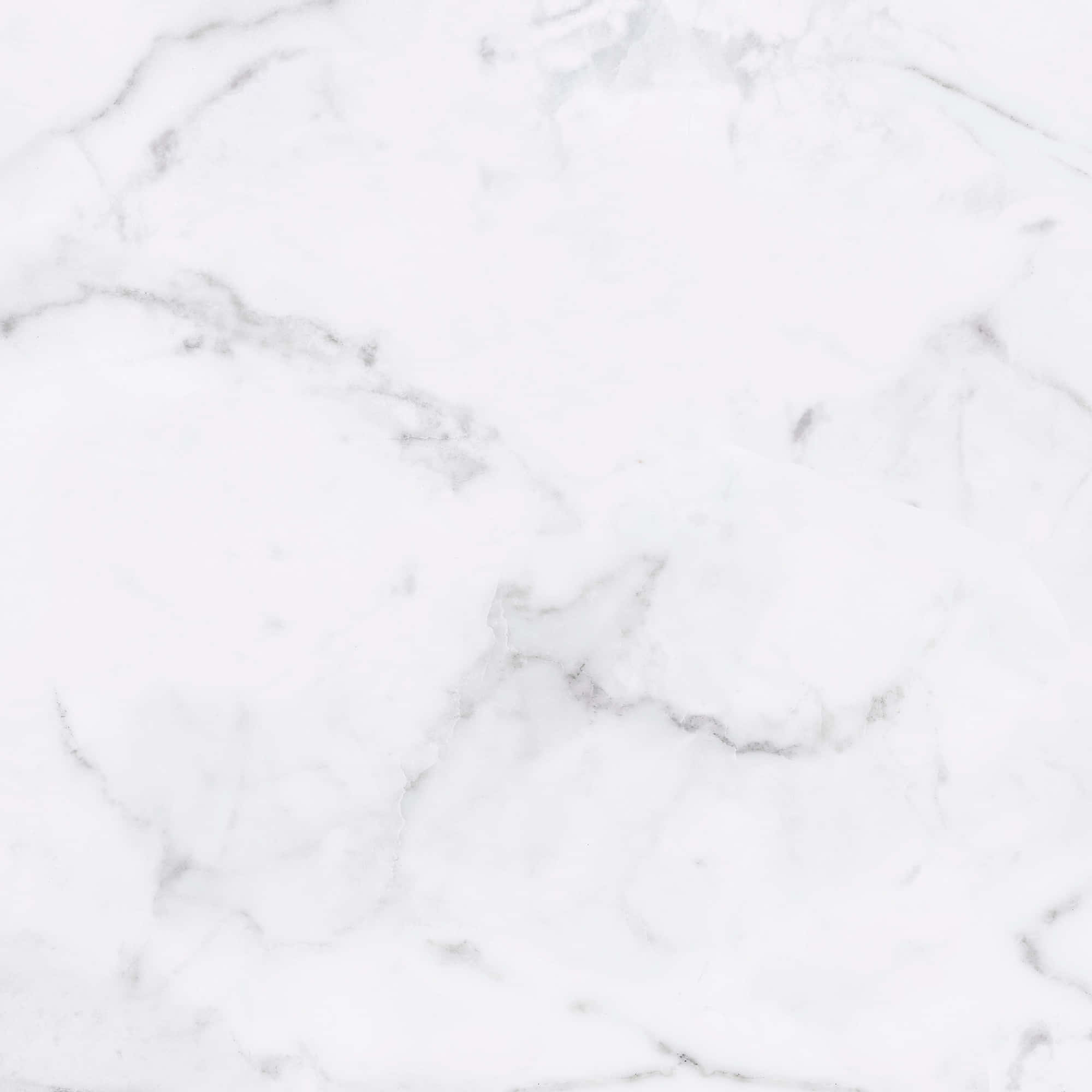 Best Marble 桌布 壁紙 — 純白大理石的近距離特寫，帶有精緻的灰色紋理，形成優雅的自然圖案。