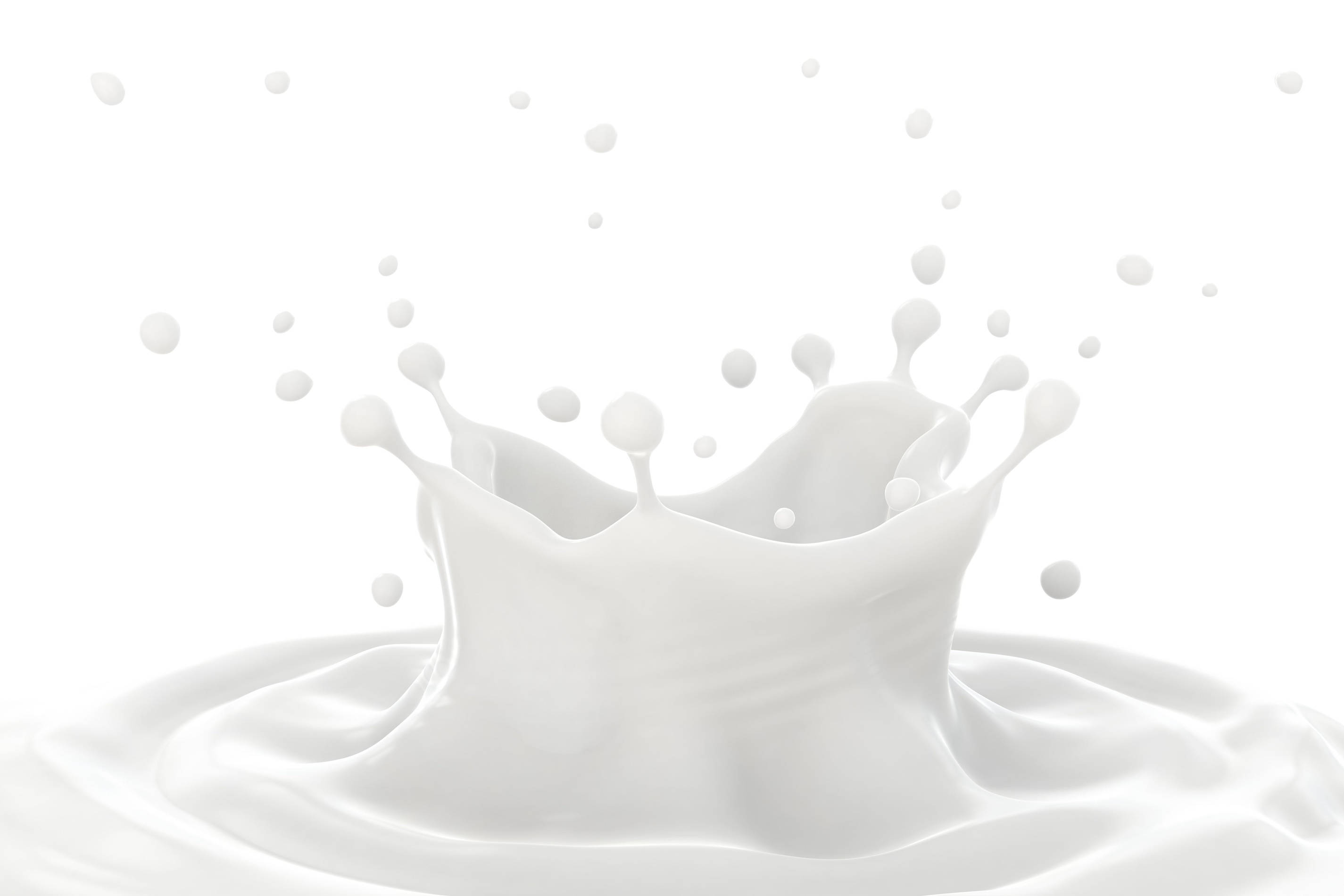 Drink 桌布 壁紙 — 純白牛奶飛濺在乾淨的白色背景上以慢動作爆發，水滴懸浮在半空中。
