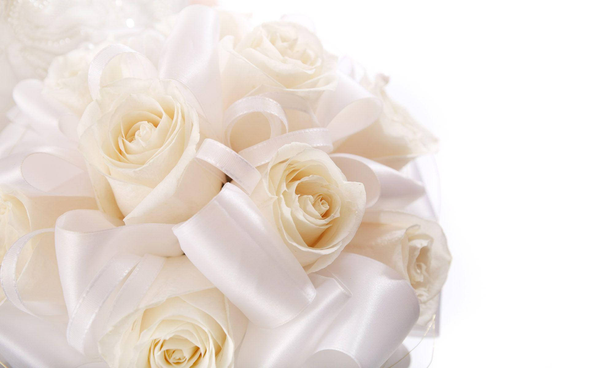 Wedding 桌布 壁紙 — 純白玫瑰花束的特寫，以緞帶優雅地繫著，背景為純白色。