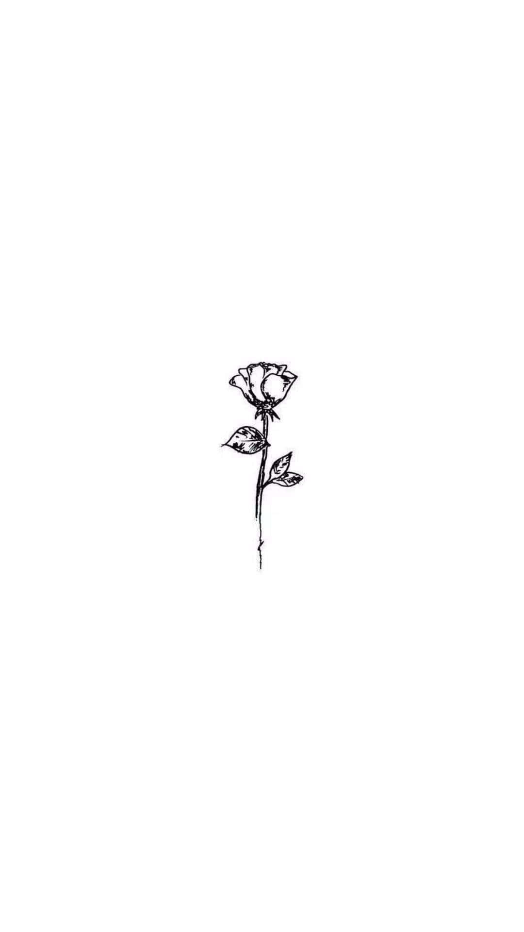 Aesthetic Rose 桌布 壁紙 — 純白背景上，一朵帶葉玫瑰的極簡黑色墨水線條畫。