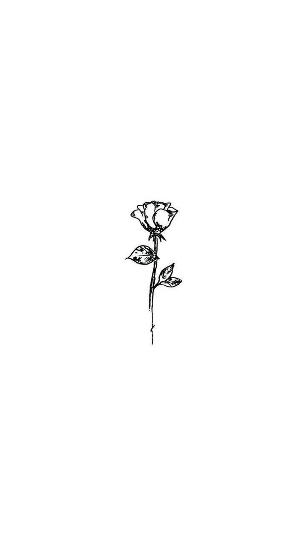 Rose Flower 桌布 壁紙 — 純白背景上，一朵帶葉玫瑰的極簡黑色墨水線條畫。