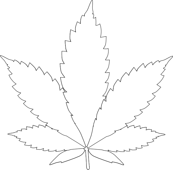Daun 桌布 壁紙 — 純白背景上，帶有鋸齒邊緣的大麻葉極簡黑色輪廓。