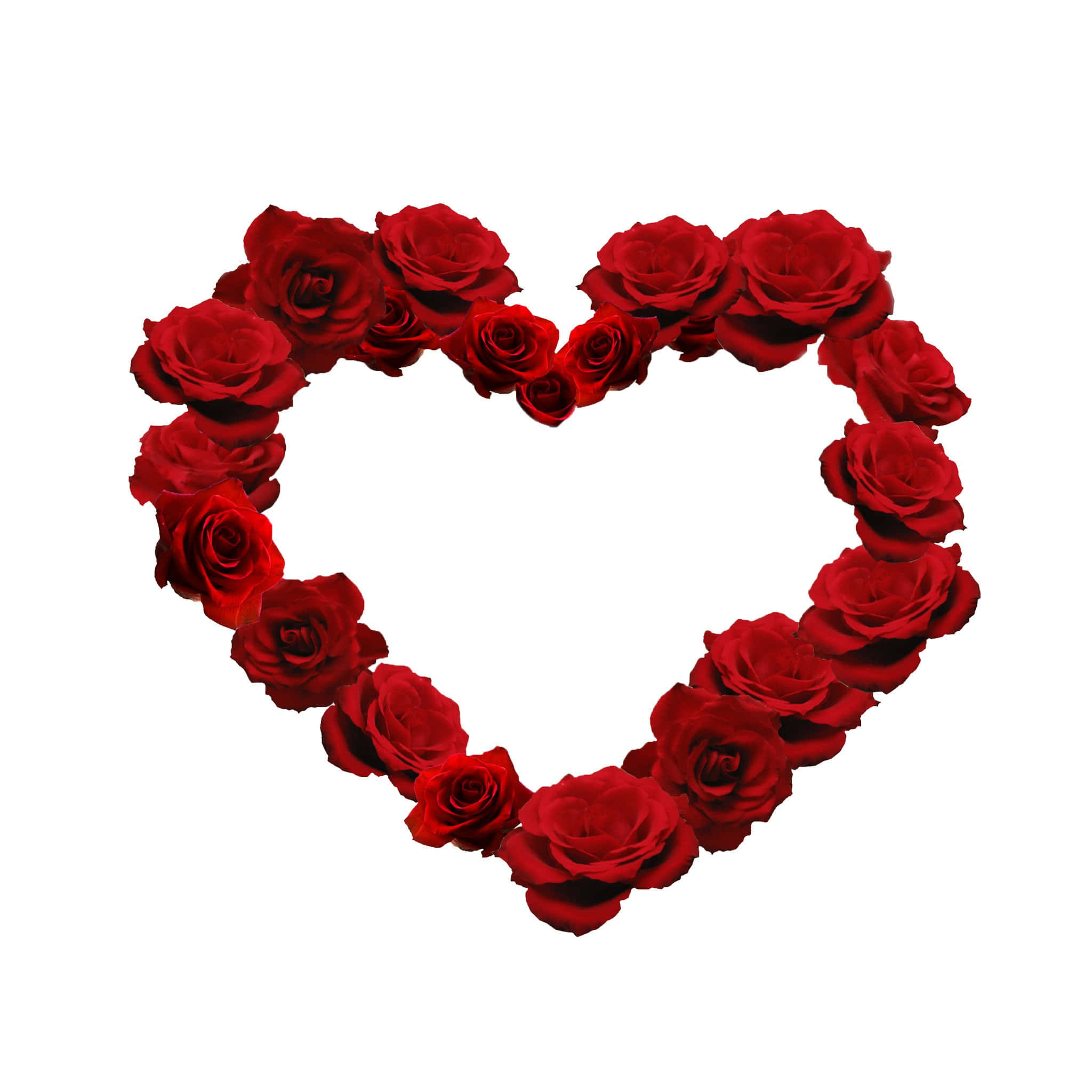 Rose Heart 桌布 壁紙 — 純白背景上以深紅玫瑰排列成心形。