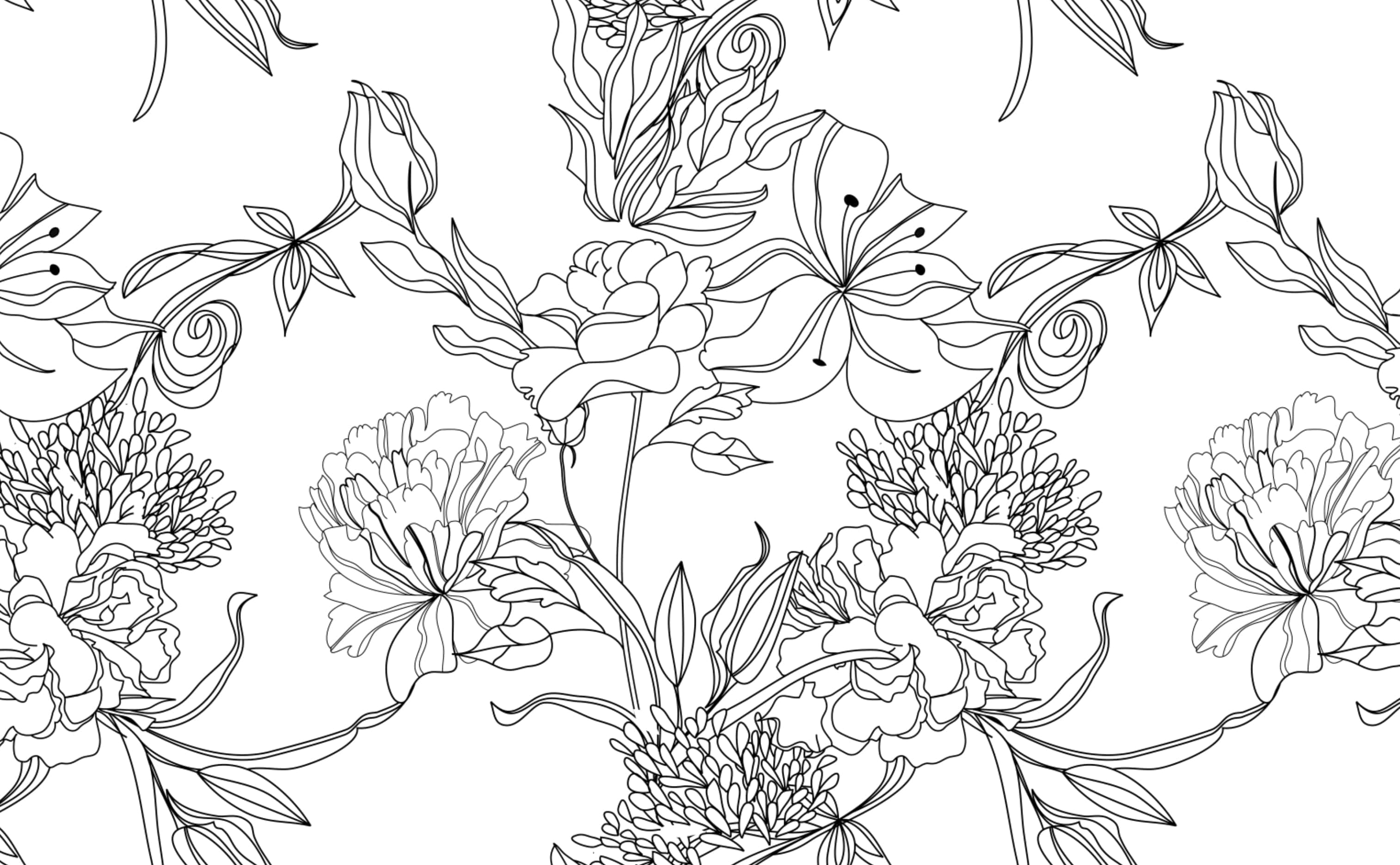 Sketches 桌布 壁紙 — 純白背景上優雅的黑色線條畫，描繪盛開的花朵和旋轉的藤蔓。