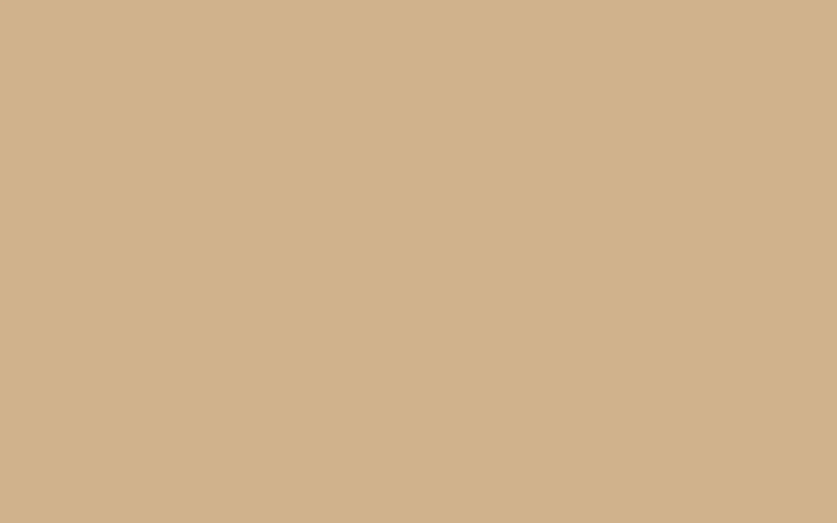 Light Brown 桌布 壁紙 — 純米色背景，沒有可見的物體或細節。