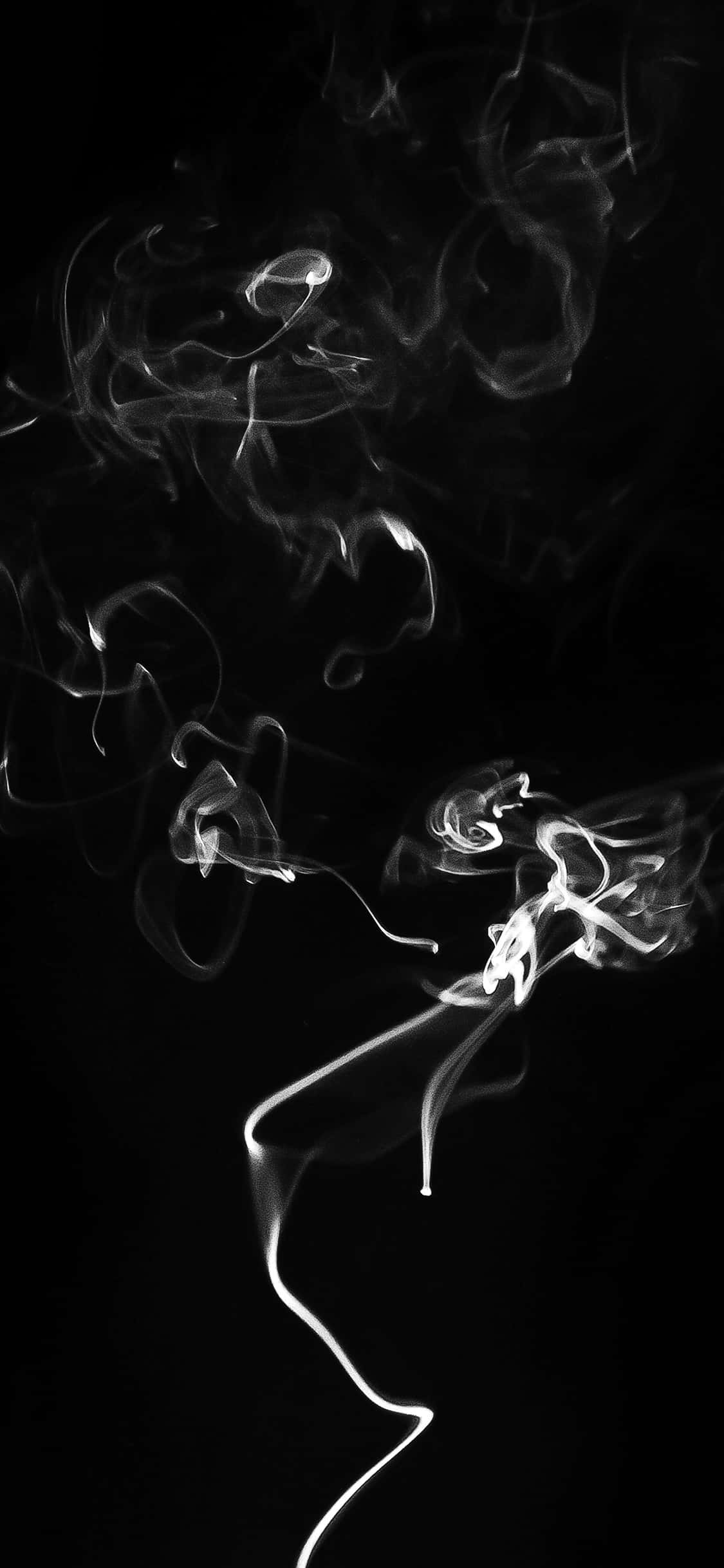 Black Smoke 桌布 壁紙 — 純粹黑色背景上，飄渺的白煙優雅地旋轉，形成高對比度的單色構圖。