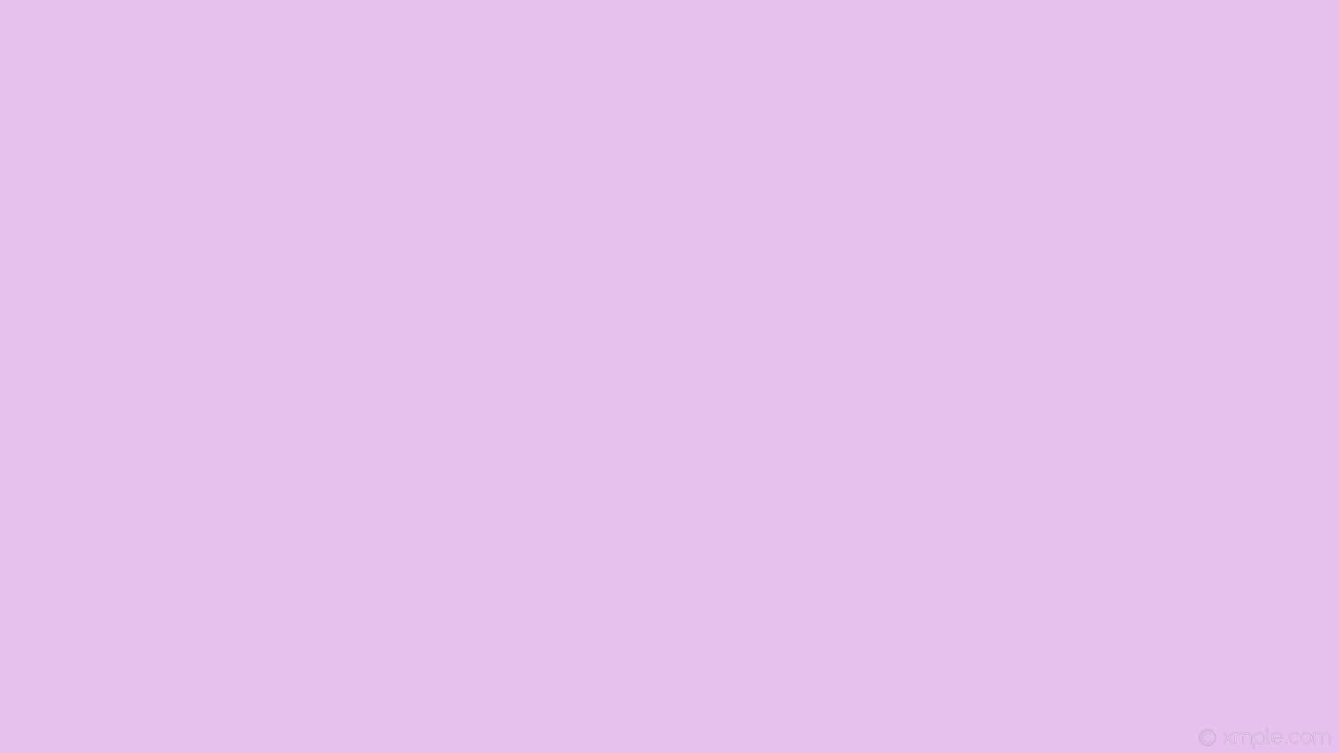 Plain Pastel 桌布 壁紙 — 純色柔軟薰衣草背景，沒有可見的物體或細節。