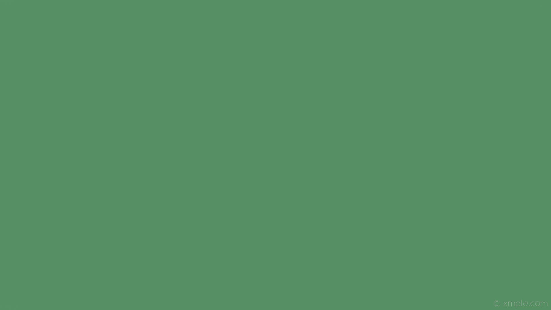 Sage 桌布 壁紙 — 純色橄欖綠背景，帶有微妙漸層和角落的水印。
