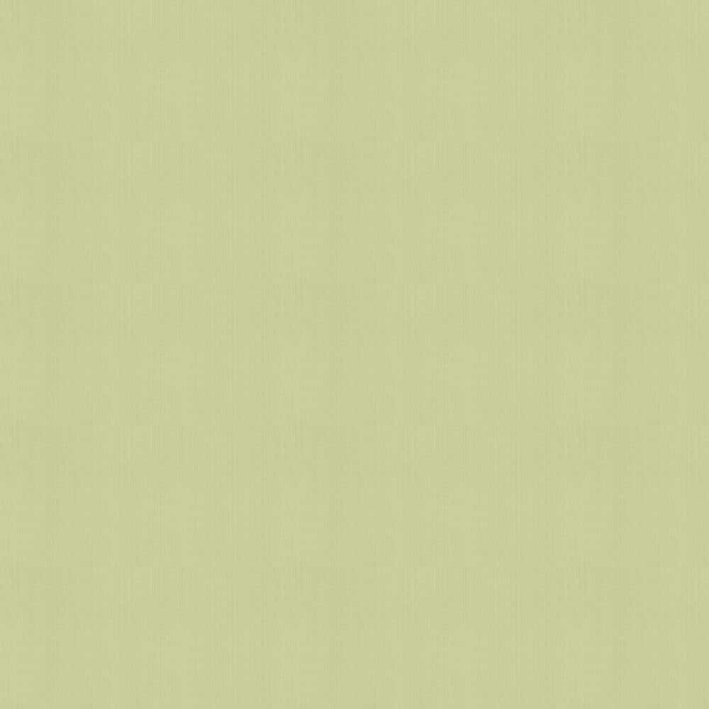 Olive Green 桌布 壁紙 — 純色淡綠色壁紙，帶有微妙的垂直紋理，適合簡約室內設計。