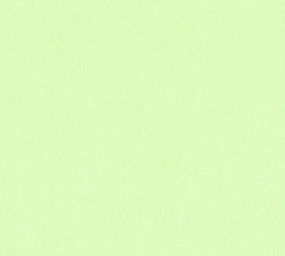 Light Green Plain 桌布 壁紙 — 純色淡綠色紋理背景，帶有細微的織物狀編織圖案。