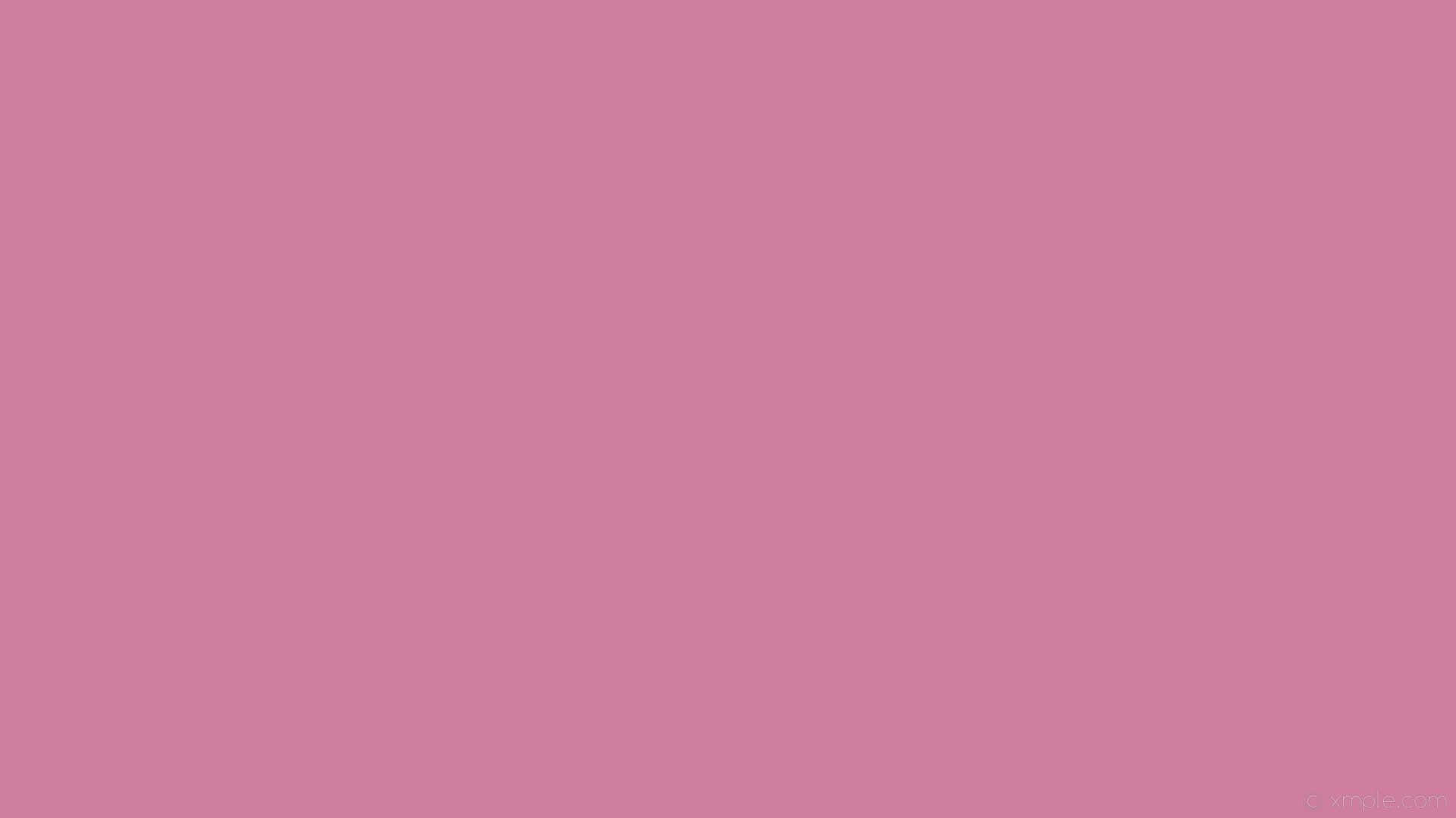 Plain Pink Desktop 桌布 壁紙 — 純色紫紅色背景，沒有可見的物體或細節。