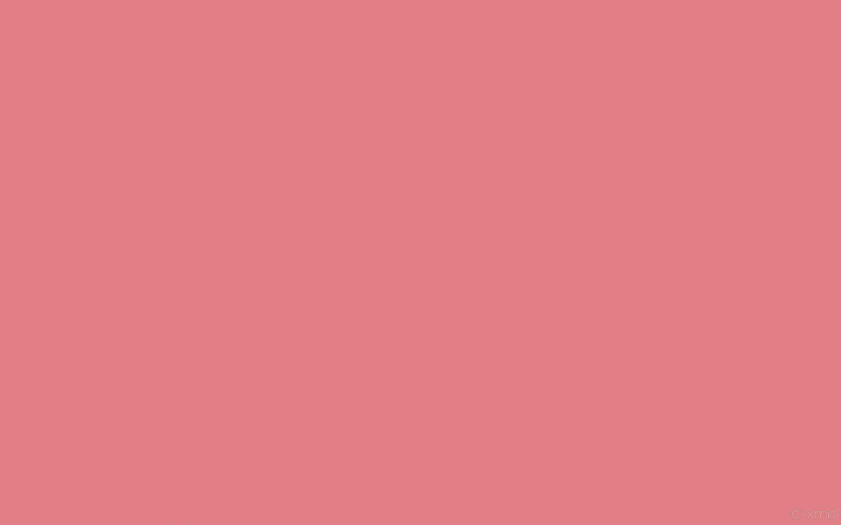 Plain Pink Desktop 桌布 壁紙 — 純鮭魚粉紅色背景，沒有可見的物體或細節。