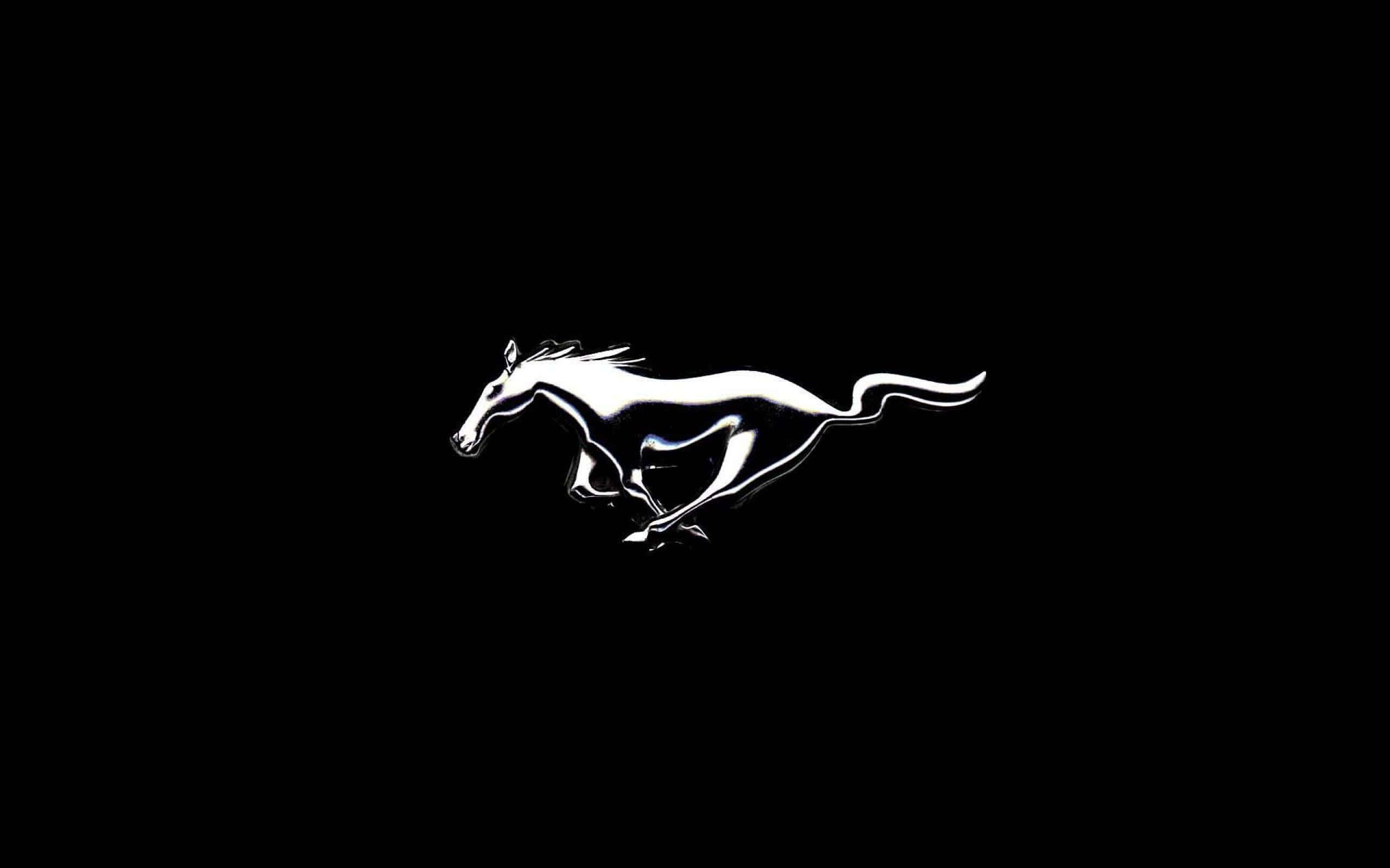 Mustang Horse 桌布 壁紙 — 純黑背景上，一匹駿馬奔騰，鬃毛與尾巴飄逸的流暢白色剪影。