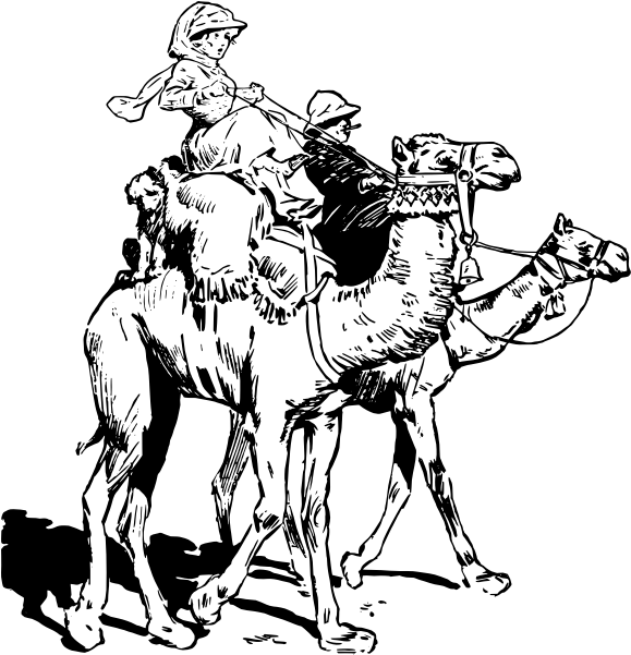 駱駝 桌布 壁紙 — 純黑色背景，沒有可見的元素或紋理。
