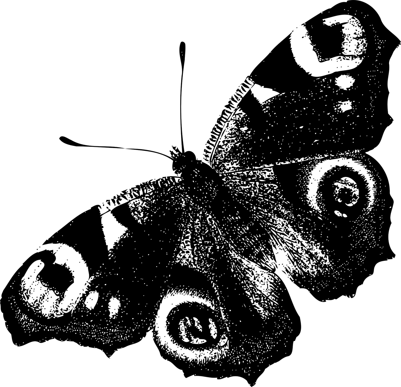 Butterfly Black And White 桌布 壁紙 — 純黑色背景，沒有可見的元素或細節。