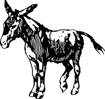 純黑螢幕無內容 壁紙