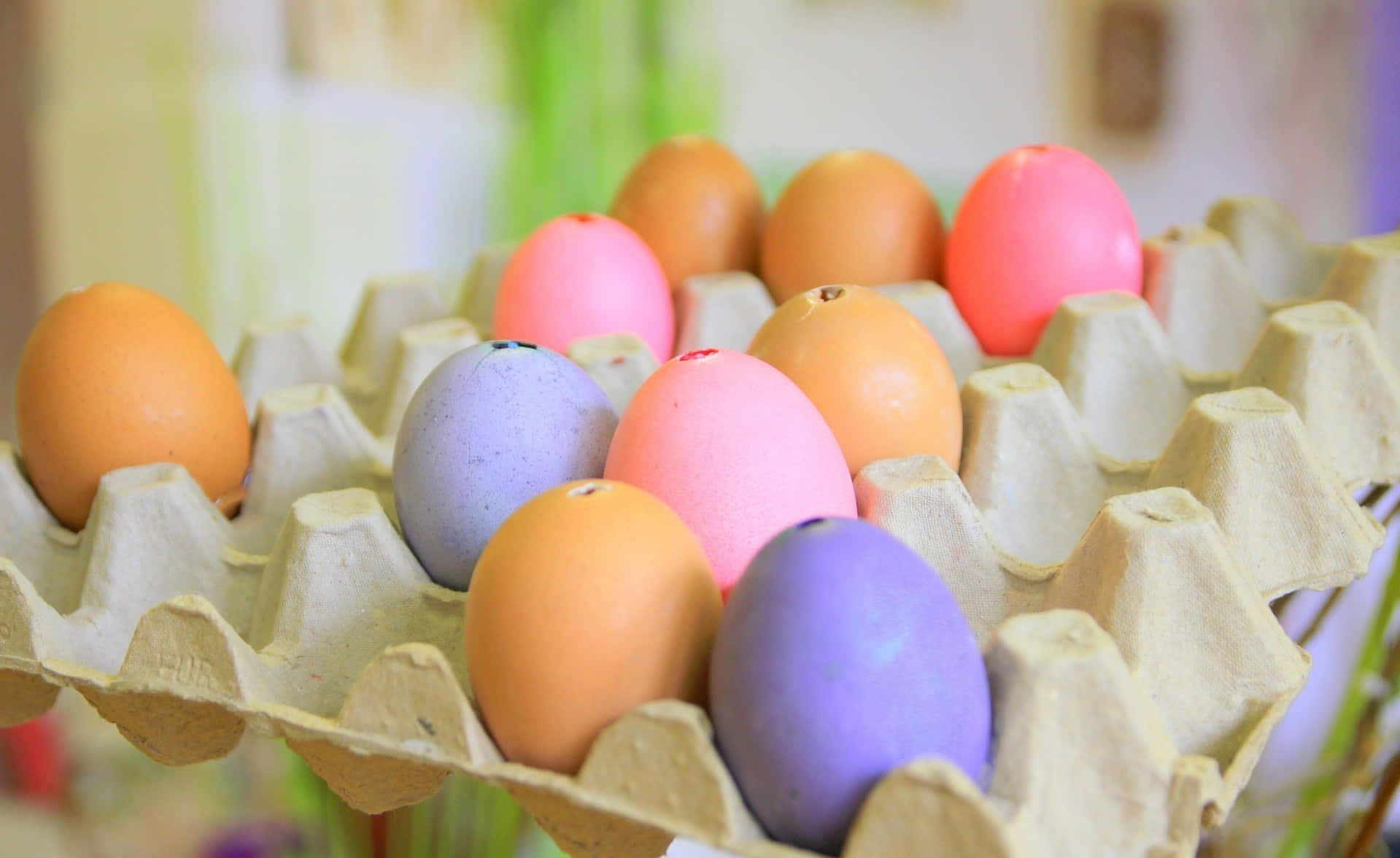 Egg 桌布 壁紙 — 紙板雞蛋盒中色彩繽紛的染色雞蛋特寫，背景柔和模糊。