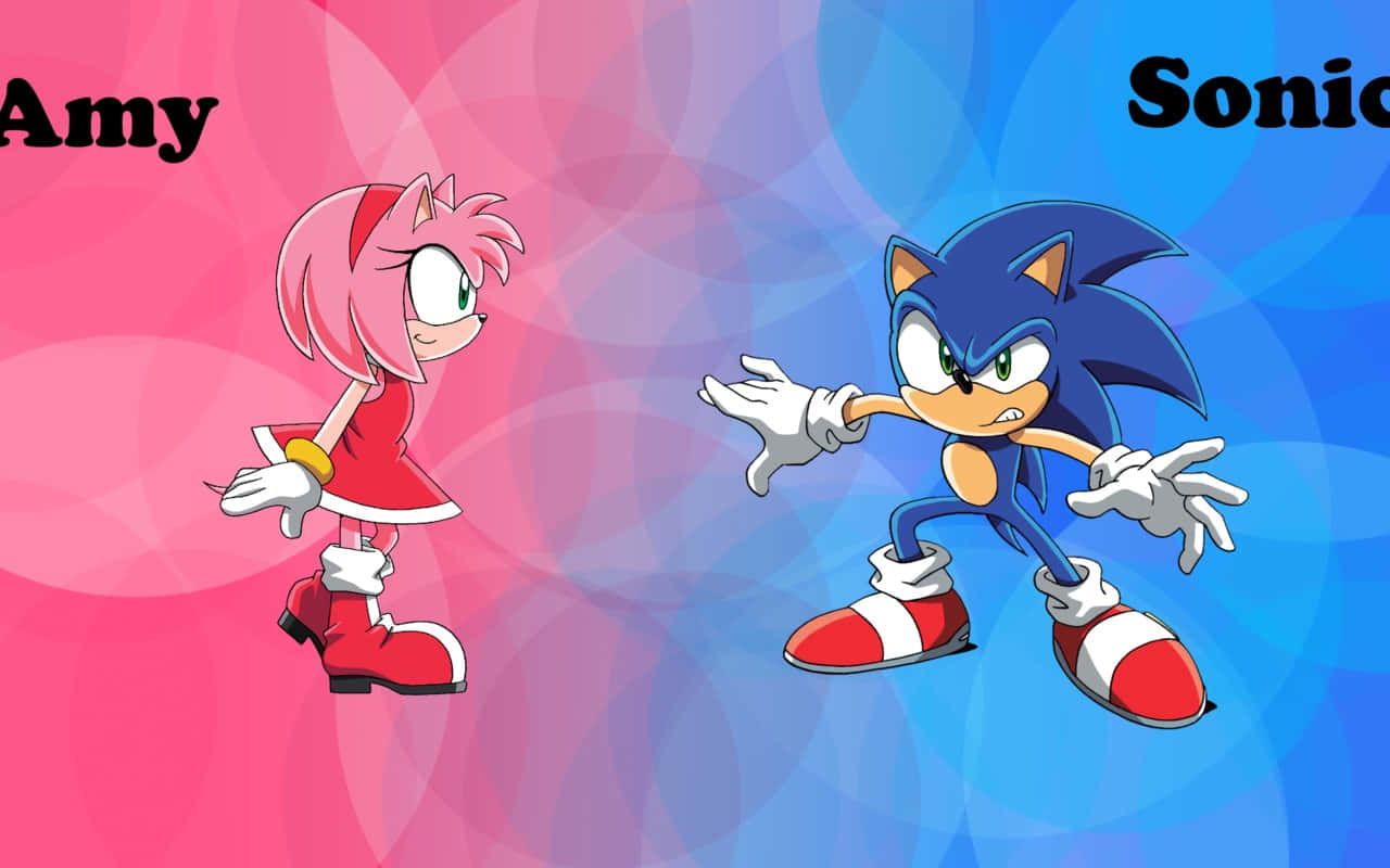 Sonic And Amy 桌布 壁紙 — 索尼克和艾米在充滿活力的粉紅和藍色漸變背景上對峙，背景帶有漩渦狀圓形圖案。