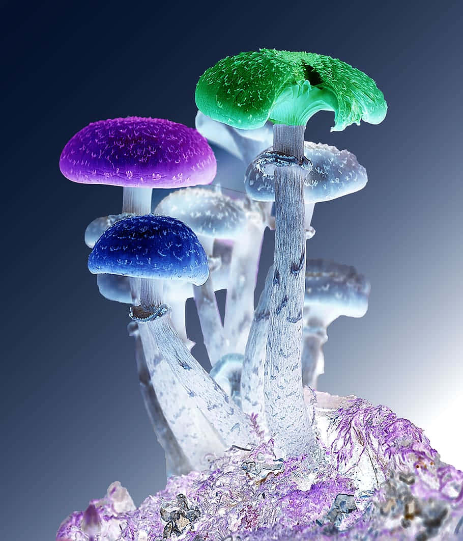 Psychedelic Nature 桌布 壁紙 — 紫色、藍色和綠色的鮮豔發光蘑菇從水晶底座中冒出，背景為深色漸變。
