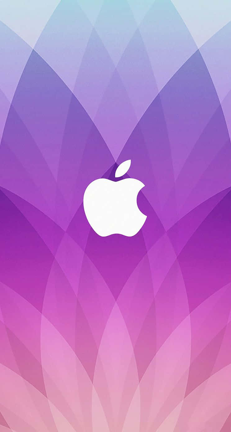 紫色iPhone桌布 壁紙