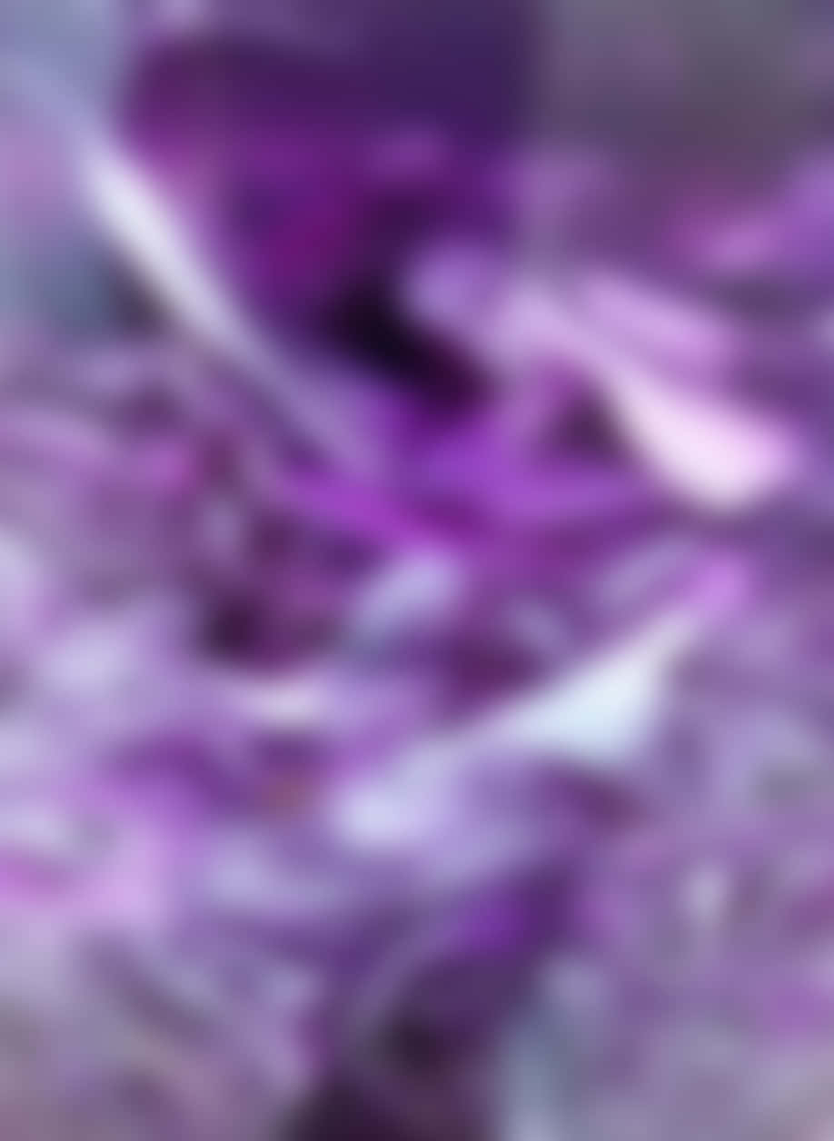 Purple Haze 桌布 壁紙 — 紫色和白色色調的柔和抽象混合，帶有模糊流動的紋理。