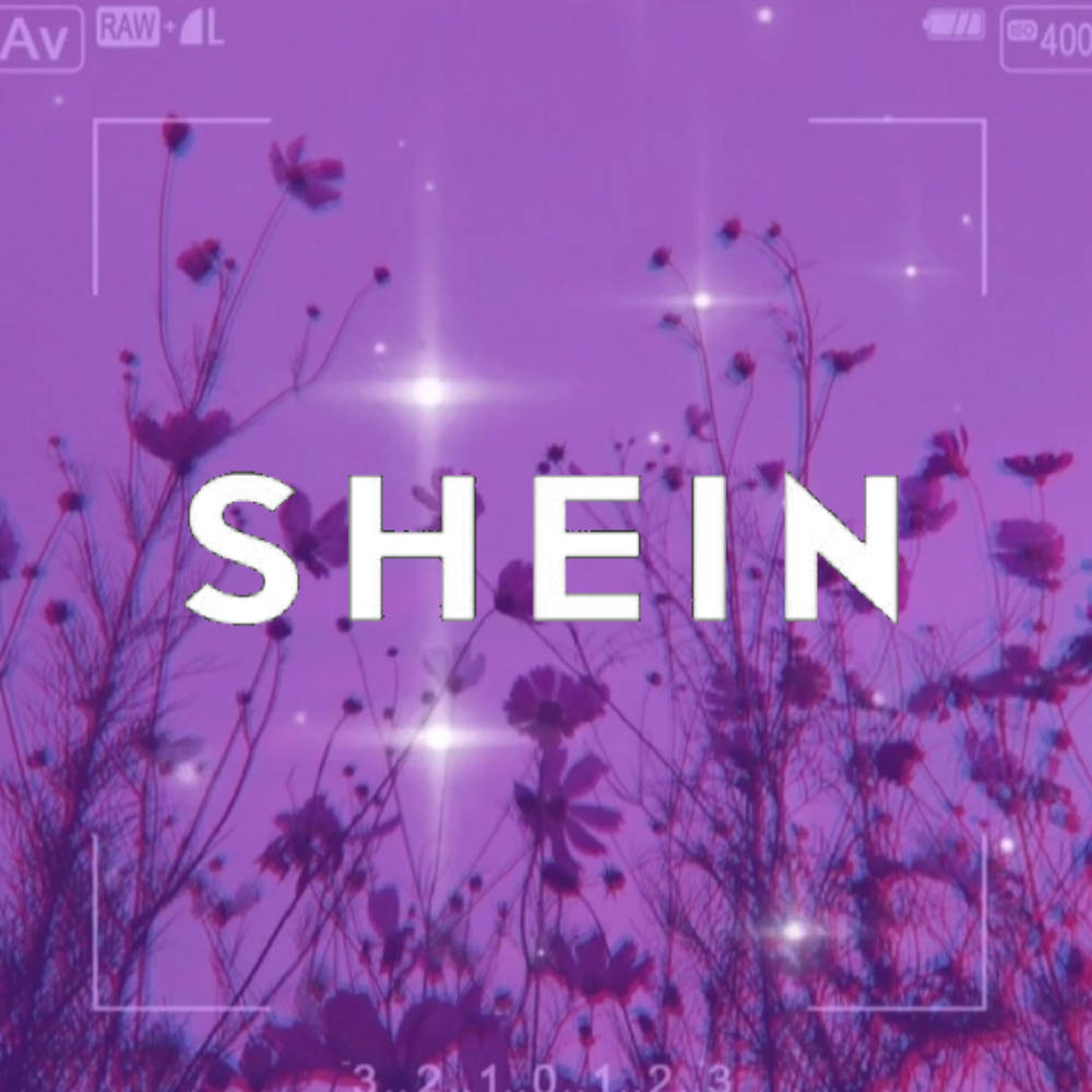 Shein 桌布 壁紙 — 紫色大波斯菊在星爆燈光下閃耀，相機觀景窗框架上疊加 'SHEIN' 文字。