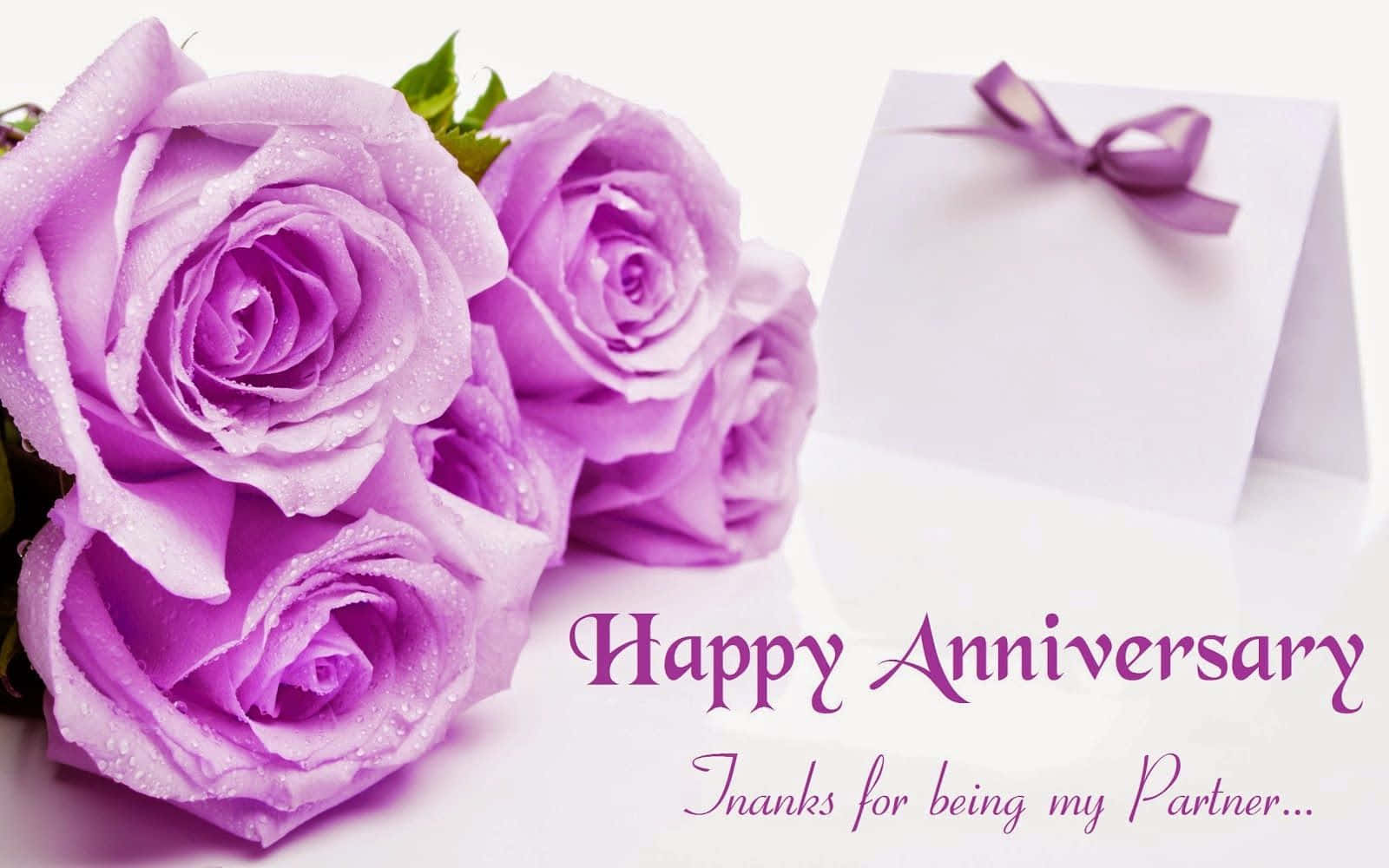Anniversary 桌布 壁紙 — 紫色玫瑰帶有露珠，旁邊放著一張用相配絲帶繫著的卡片，慶祝週年紀念。