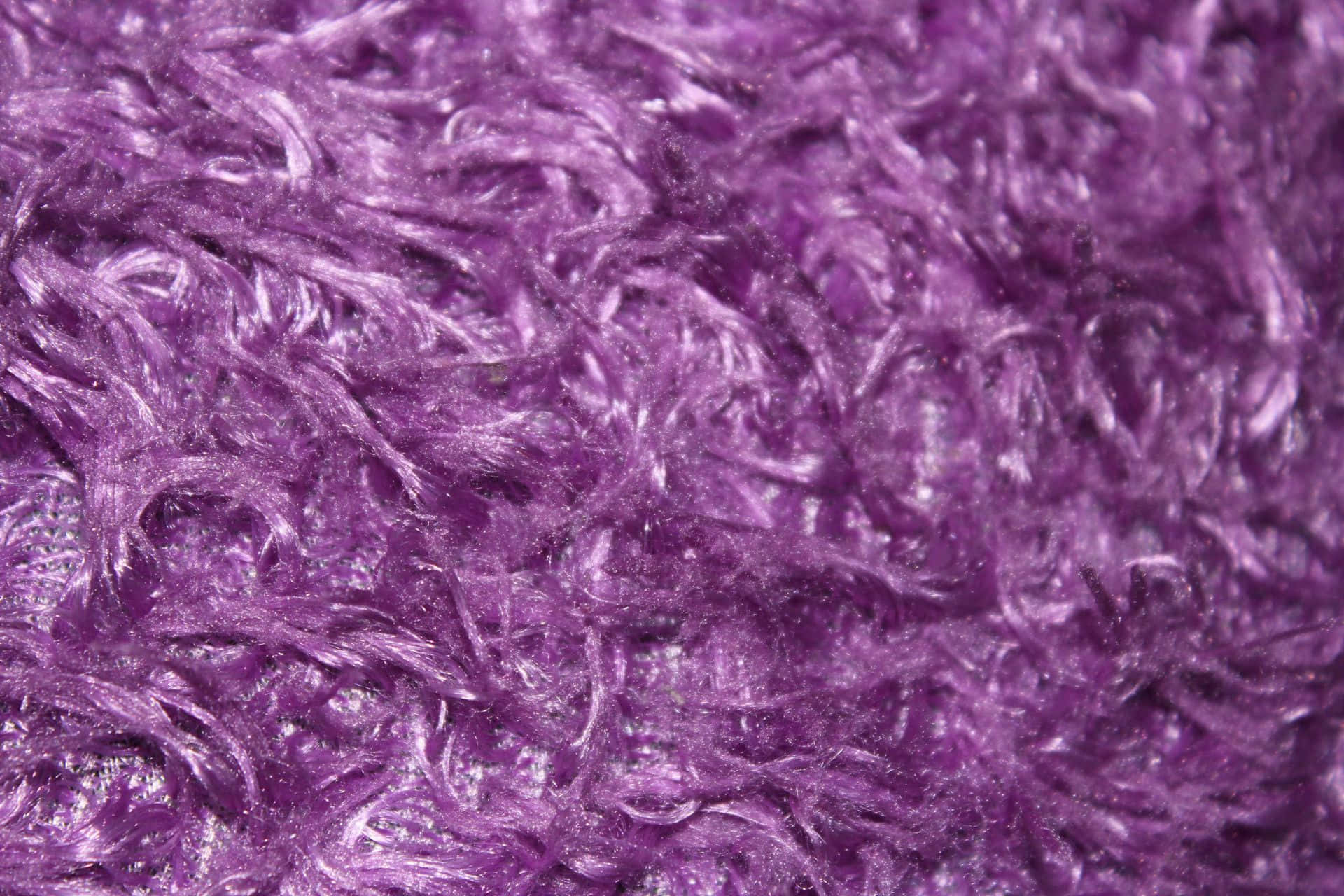 Purple Fur 桌布 壁紙 — 紫色絨毛地毯的微距特寫，捲曲纖維在柔和紋理圖案中捕捉光線。