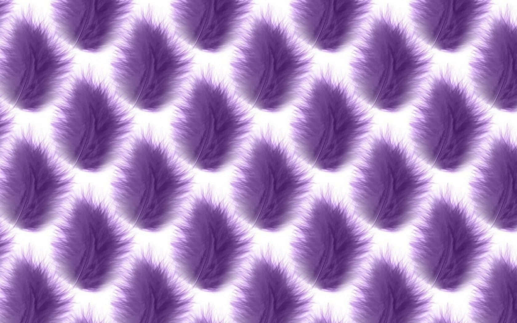 Purple Feathers 桌布 壁紙 — 紫色羽毛在亮白色背景上以重複圖案排列。