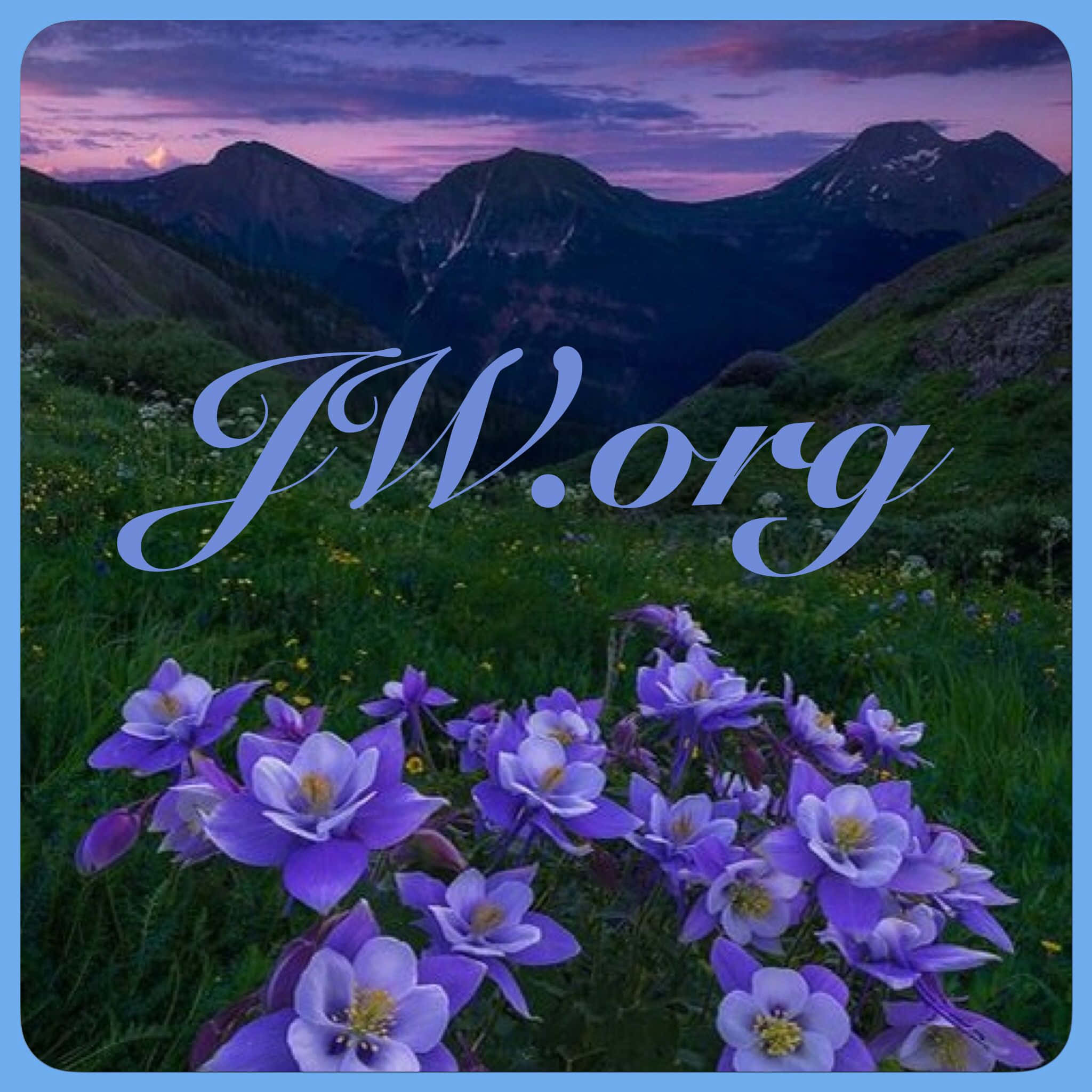 Blue Flower 桌布 壁紙 — 紫色耬斗菜花在黃昏時分盛開於長滿青草的草地上，背景是粉紫色天空下積雪的山峰。
