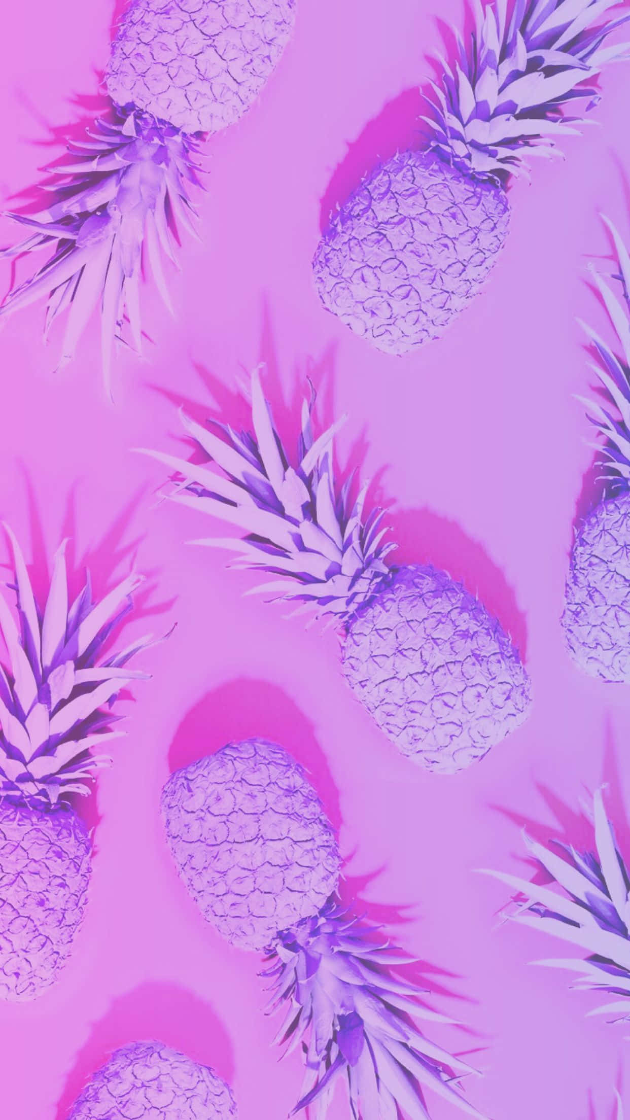 紫色與粉紅色的鳳梨圖案，搭配粉紅背景 壁紙