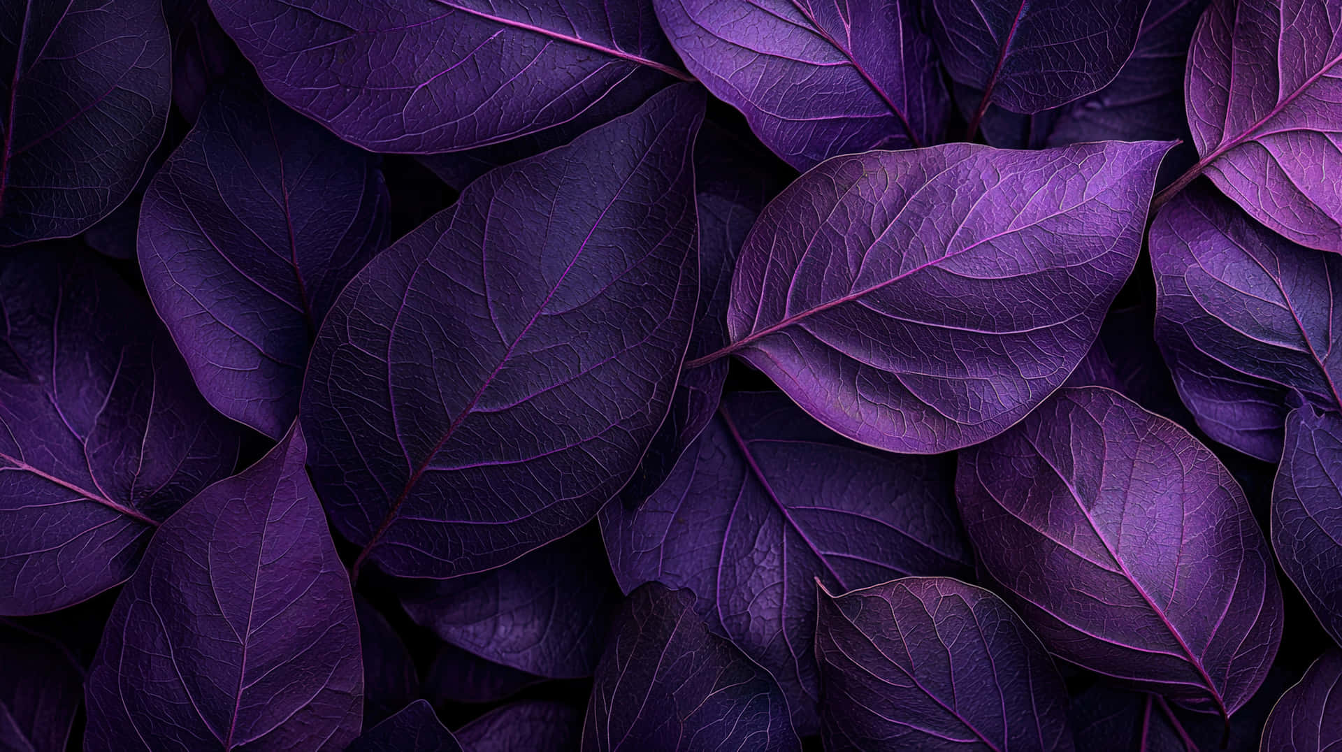 A detailed close-up of rich purple leaves with intricate veins and textures 壁紙 — 紫色葉片特寫，葉脈細緻，層層重疊，形成密集的紋理圖案。