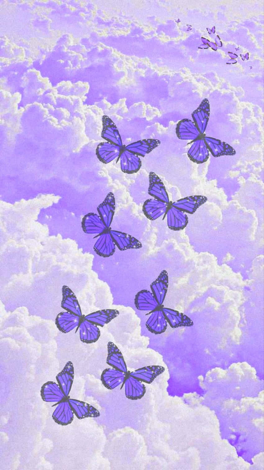 Glitter Butterfly 桌布 壁紙 — 紫色蝴蝶在夢幻天空中的柔軟薰衣草雲間優雅飛舞。
