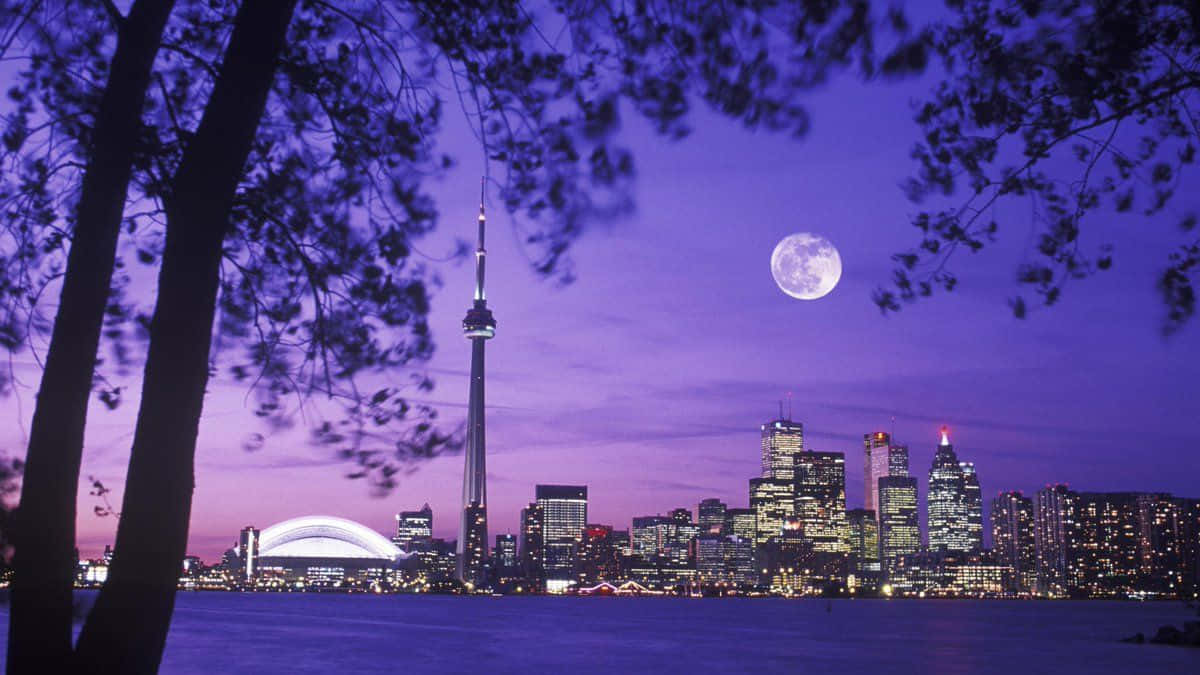 Toronto 桌布 壁紙 — 紫色黃昏的城市景觀，被樹枝框住，滿月照耀著燈火通明的多倫多天際線。