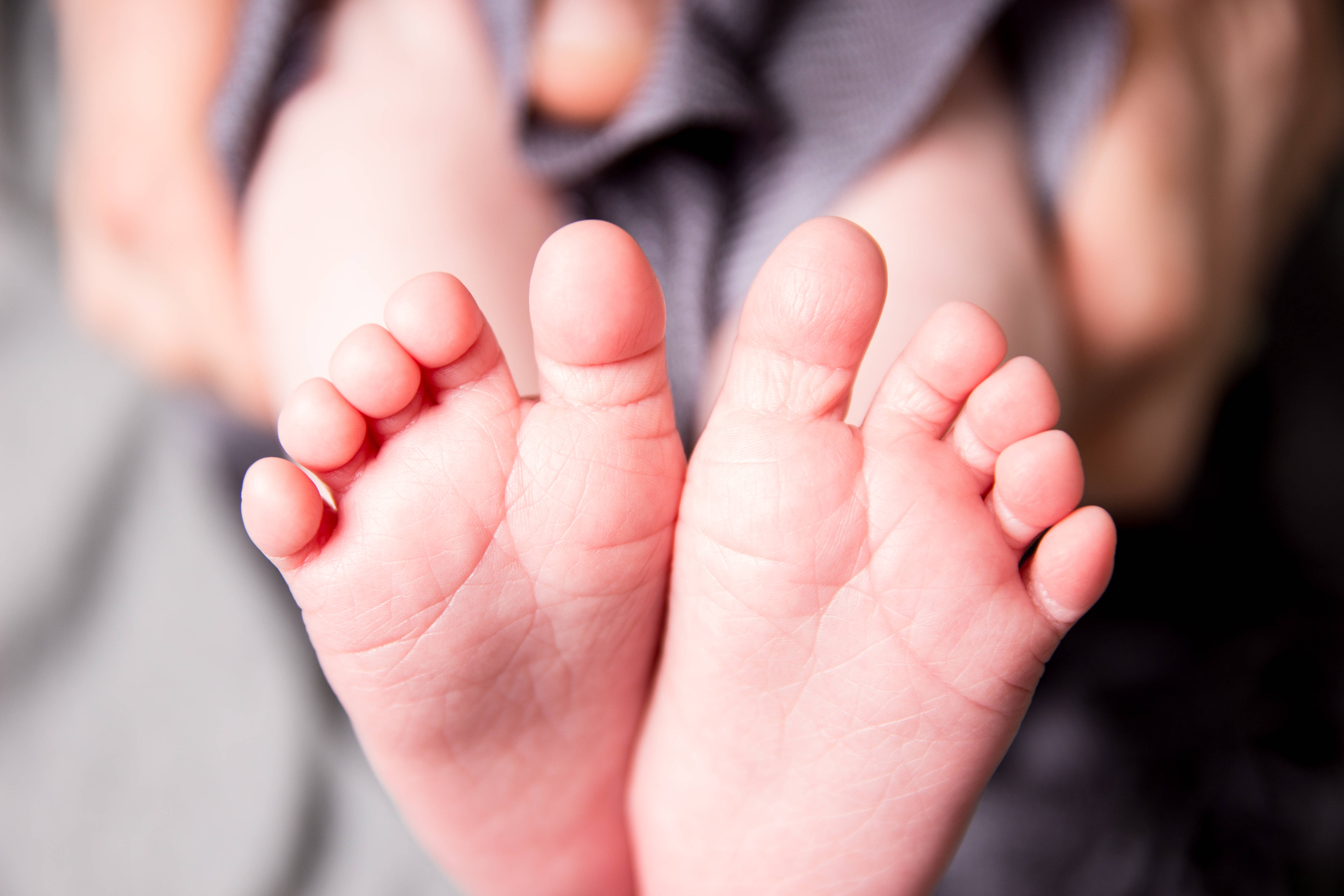 Baby Boy 桌布 壁紙 — 細小嬰兒腳部的特寫，擁有柔軟粉紅色的皮膚和精緻的腳趾，輕輕地靠在模糊的灰色布料背景上。