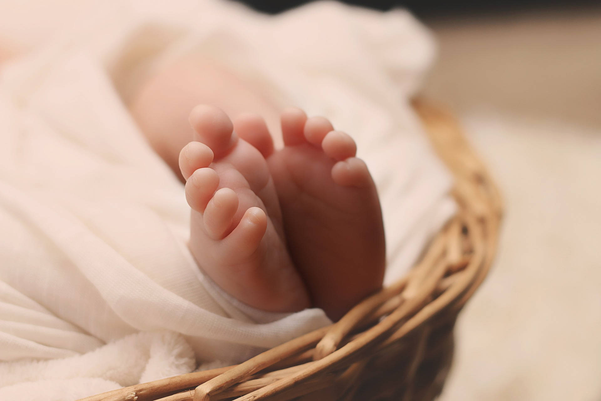 Very Cute Baby 桌布 壁紙 — 細小的嬰兒腳從柔軟的白色毛毯中探出，安放在編織柳條籃中。