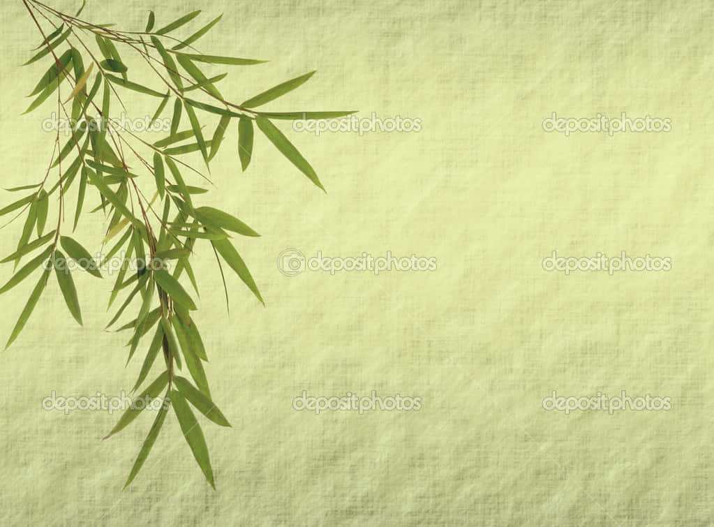 Chinese Bamboo 桌布 壁紙 — 細膩的竹葉優雅地垂落在帶有細微復古紋理的淺綠色背景上。