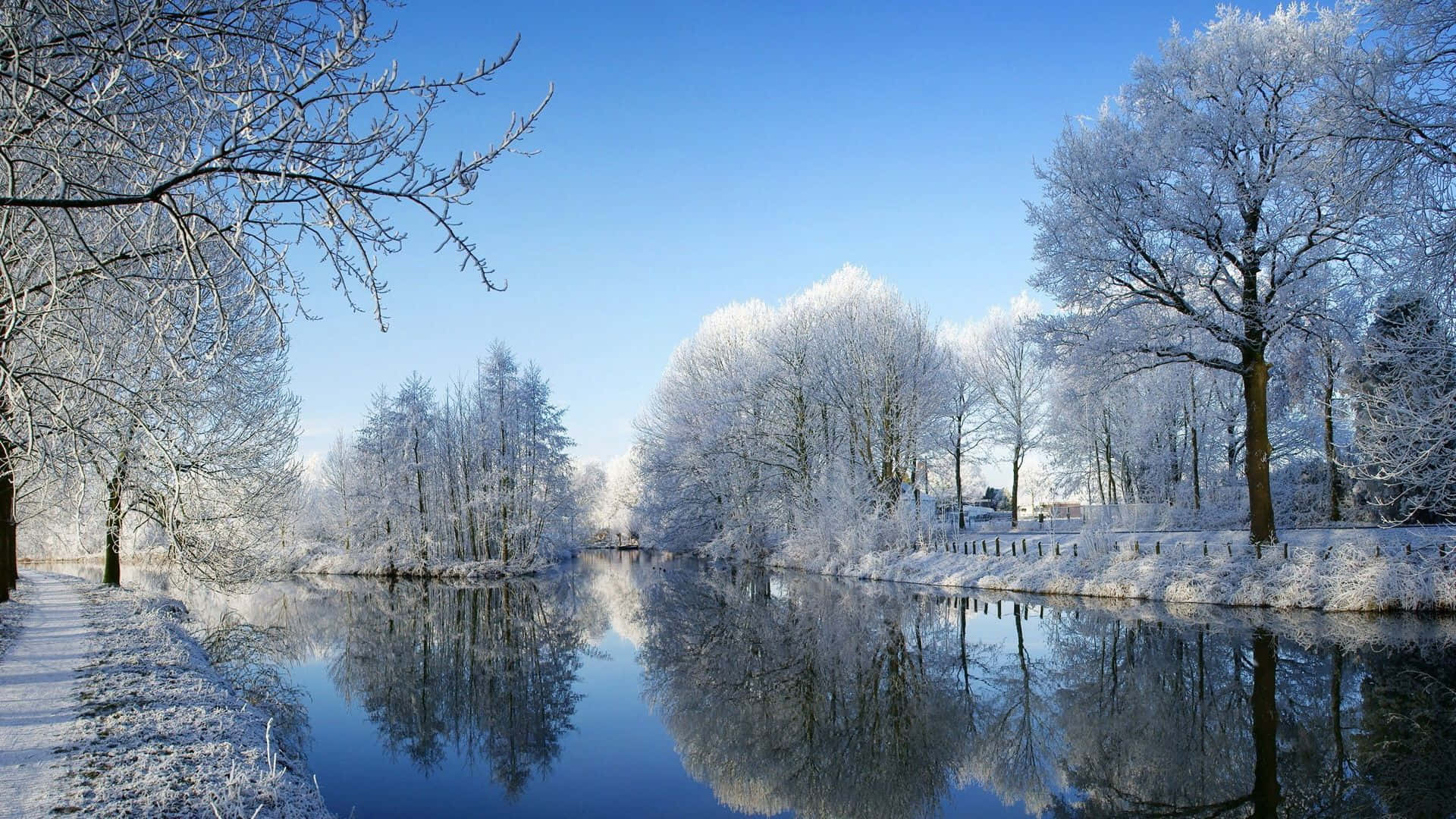 1920x1080 Winter 桌布 壁紙 — 結冰的河流映照著霜覆樹木，在清澈的藍色冬日天空下。