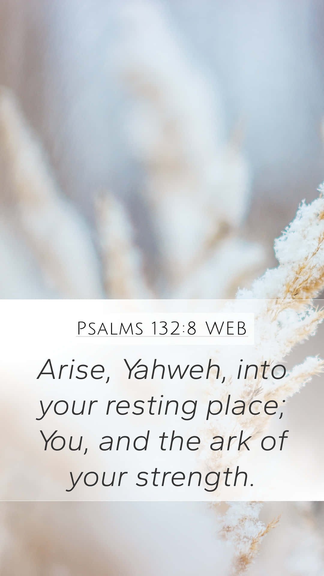 Lock Screen Aesthetic Bible Verse 桌布 壁紙 — 結霜的乾草在居中聖經經文後方柔和模糊，採用簡潔字體。
