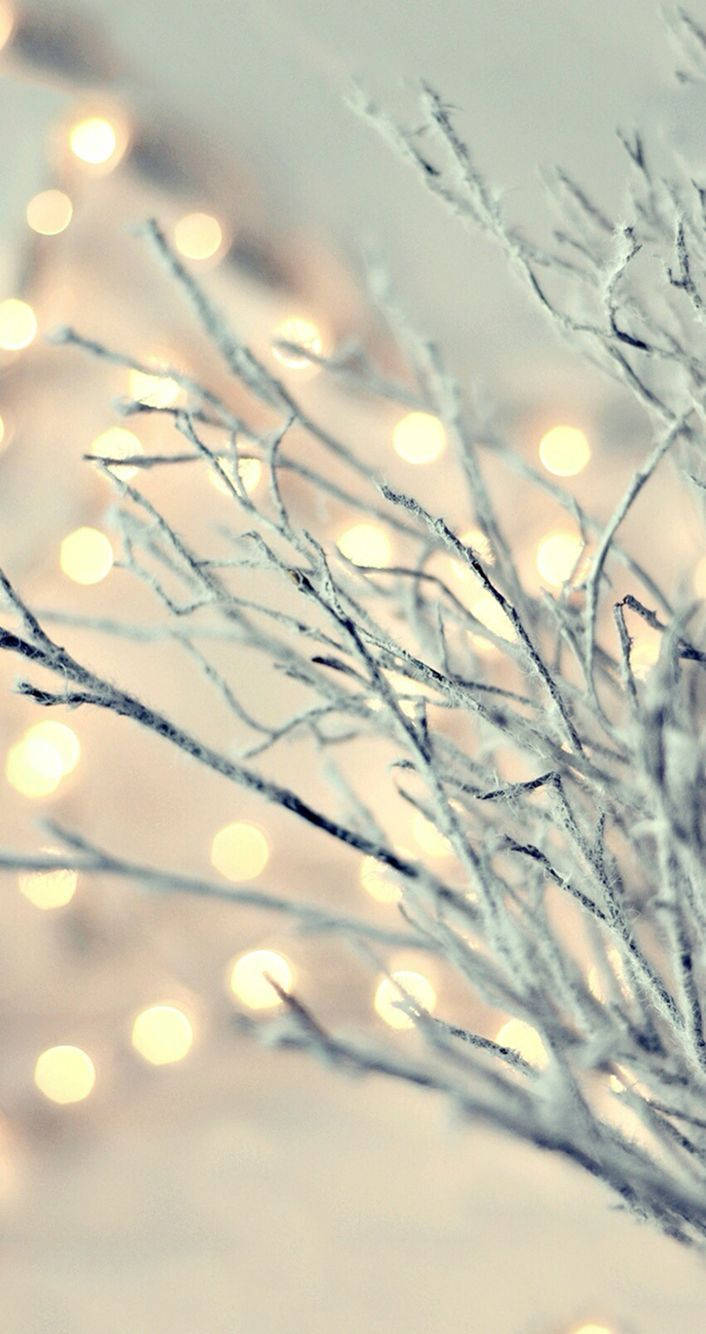 Christmas Lights iPhone 桌布 壁紙 — 結霜的冬日樹枝在溫暖童話燈的柔和散景中閃爍，營造出寧靜的節日氛圍。