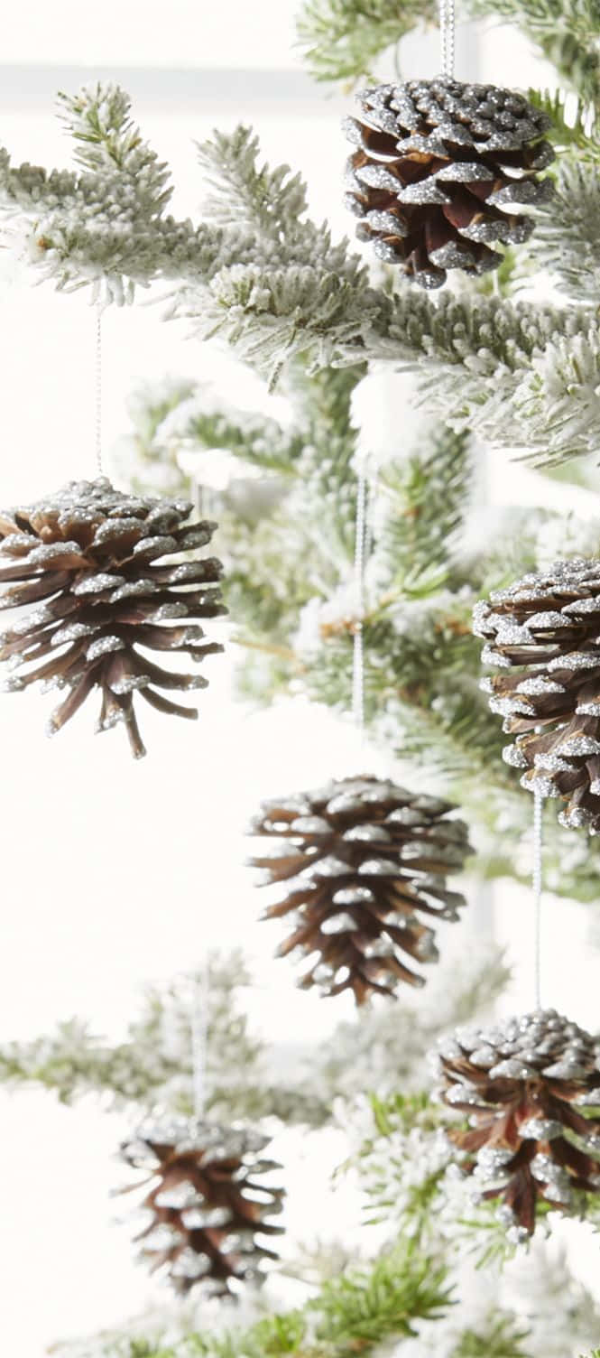 聖誕樹動畫 桌布 壁紙 — 結霜的松果輕輕掛在積雪的常青樹枝上，背景是明亮的白色。