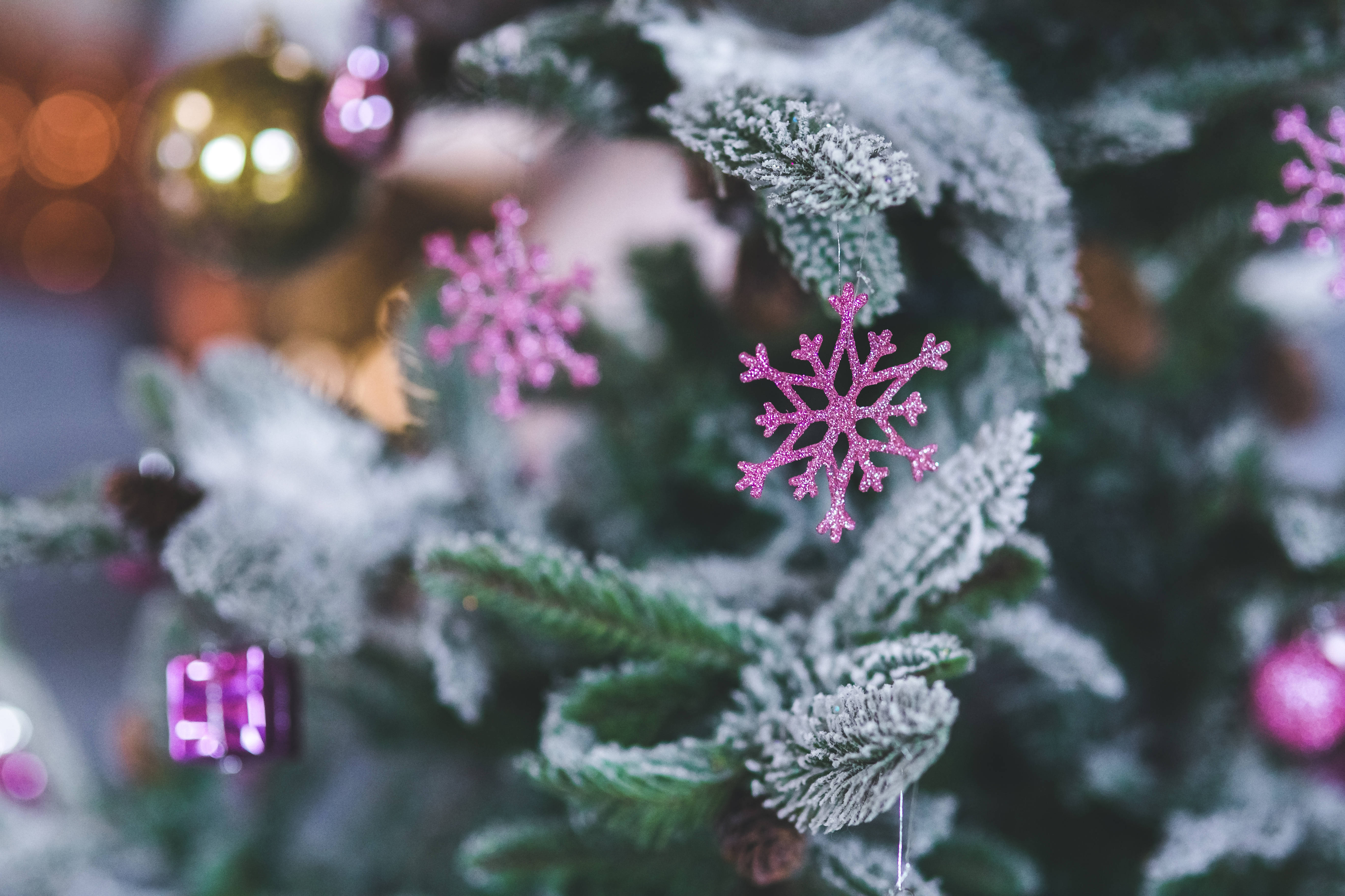 雪花 桌布 壁紙 — 結霜的松樹枝條點綴著閃閃發光的粉紅色雪花裝飾和模糊的金色燈光，營造出溫馨的節日場景。