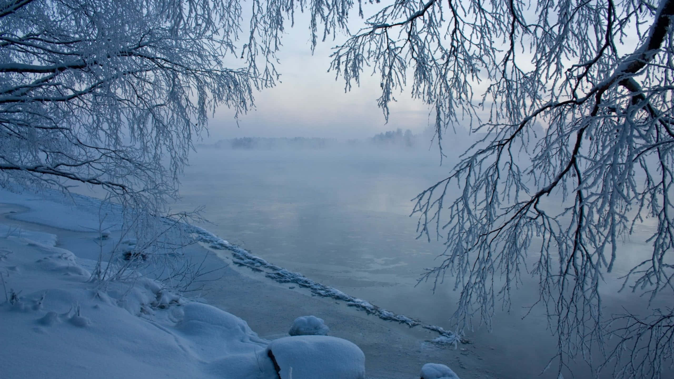 Polar Vortex 桌布 壁紙 — 結霜的樹枝框住了一條在蒼白冬日天空下霧氣瀰漫的冰封河流。