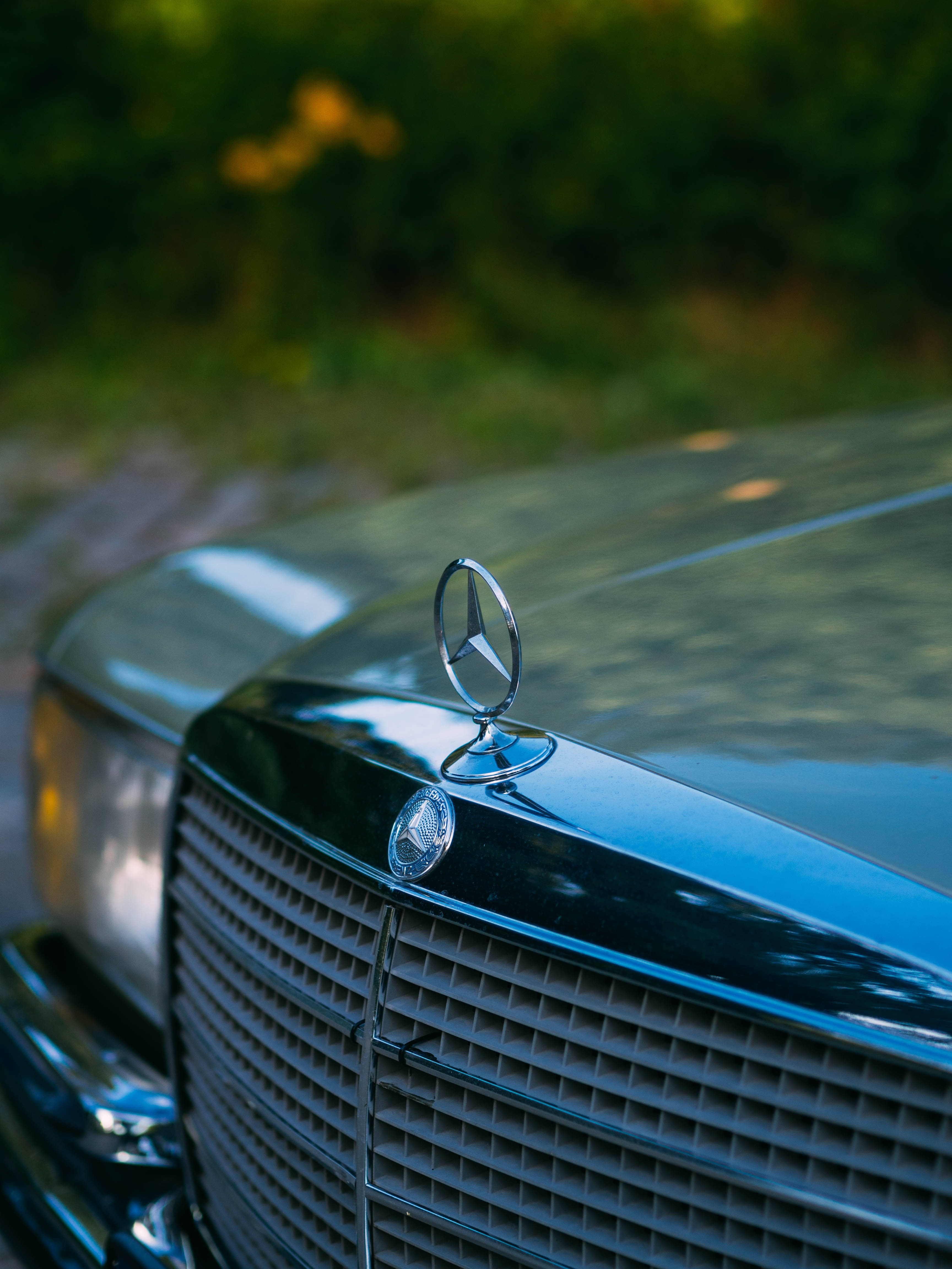 Mercedes 桌布 壁紙 — 經典Mercedes-Benz引擎蓋標誌的特寫，在柔和自然光下閃閃發光，背景有模糊的綠色樹葉。