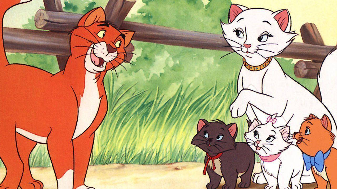 aristocats 桌布 壁紙 — 經典動畫場景，一隻紅貓和一隻白貓帶著小貓在陽光普照的草地上，靠近木柵欄。