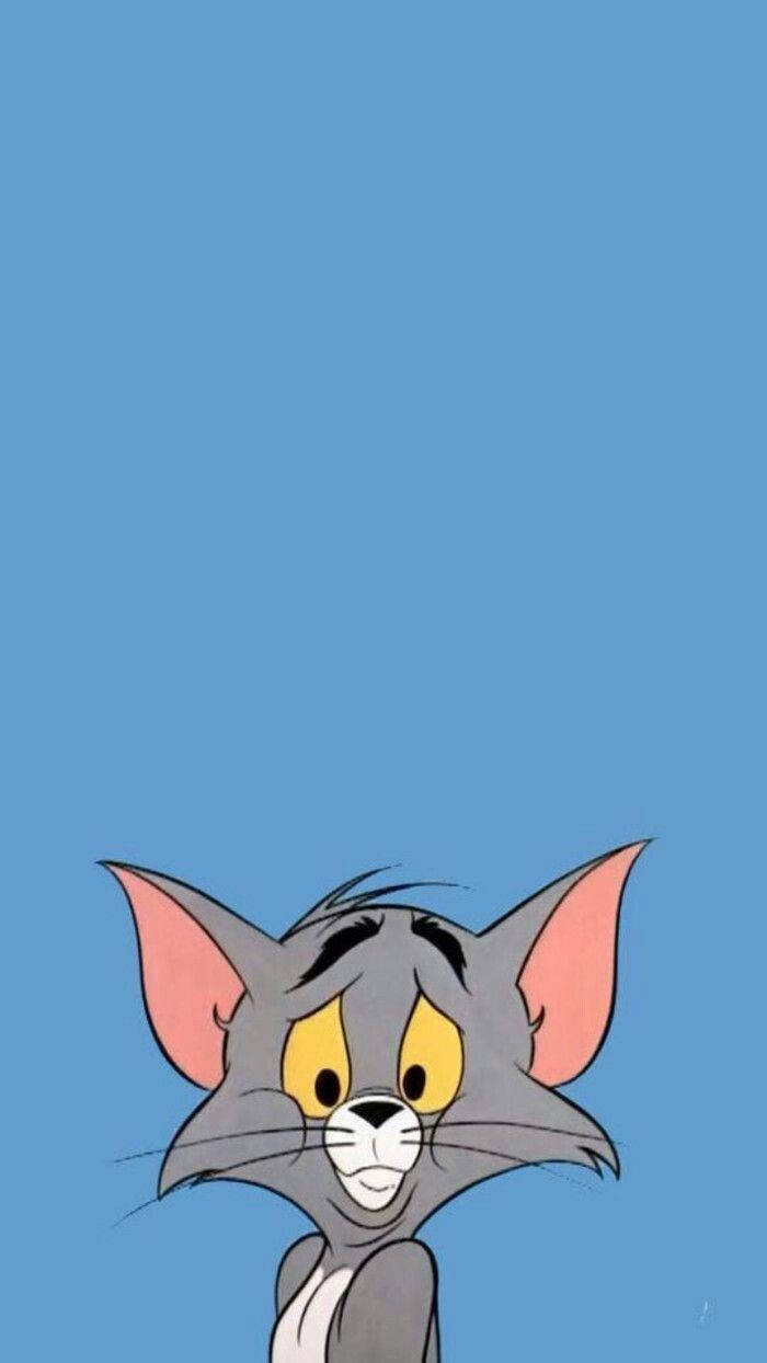 Tom And Jerry Cute 桌布 壁紙 — 經典卡通中的貓湯姆，睜著黃色的大眼睛，凝視著純藍色背景。